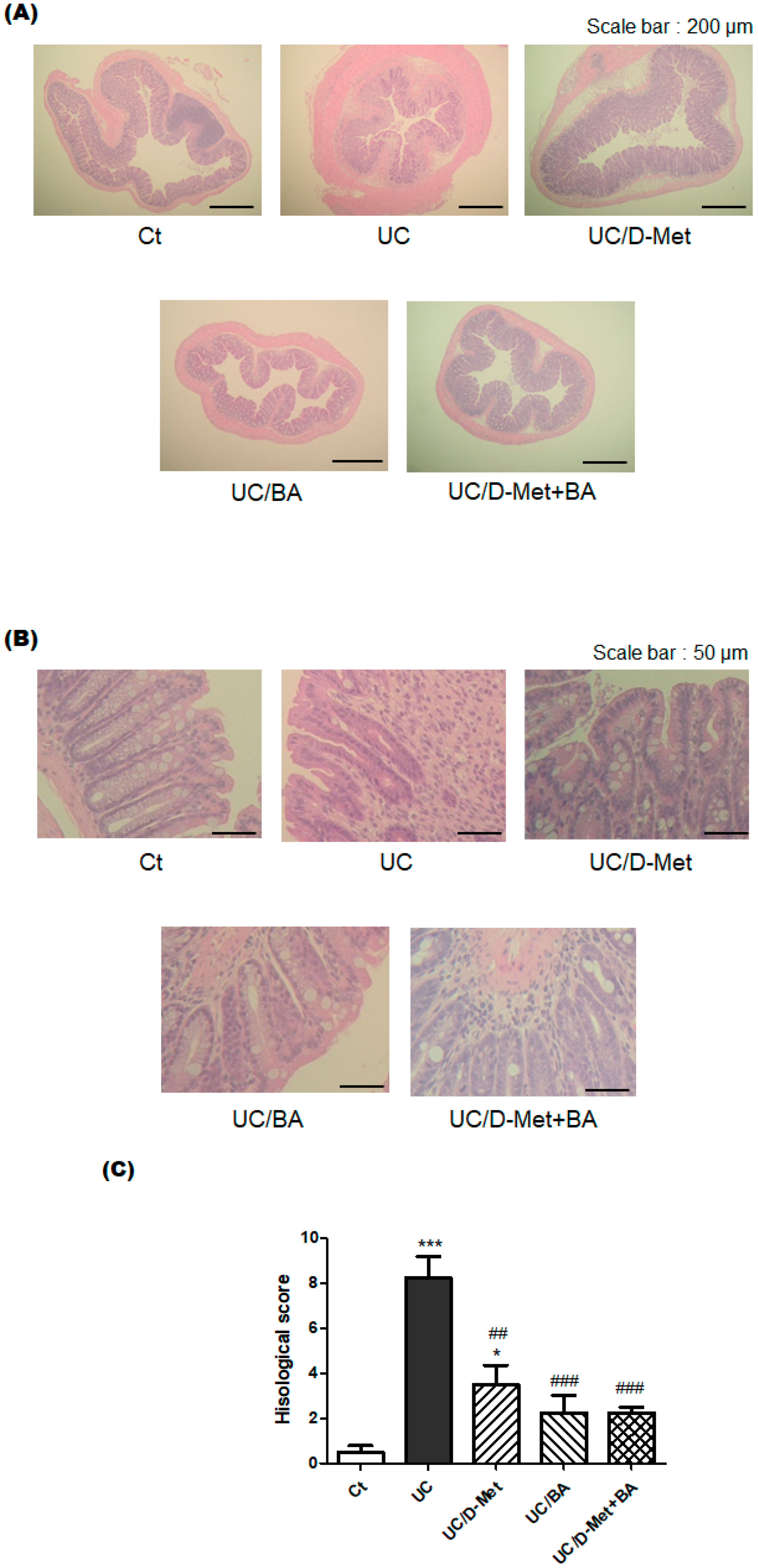Molecules 28 04392 g004