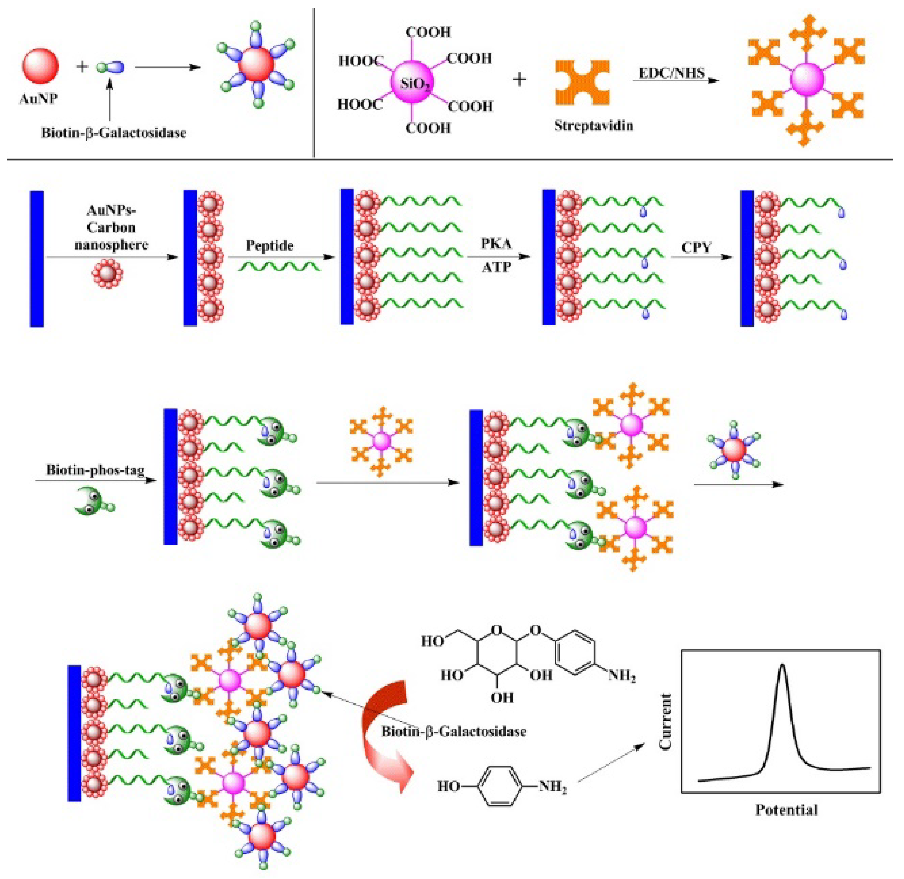 Molecules 28 04394 g003 Molecules 28 04394 g003