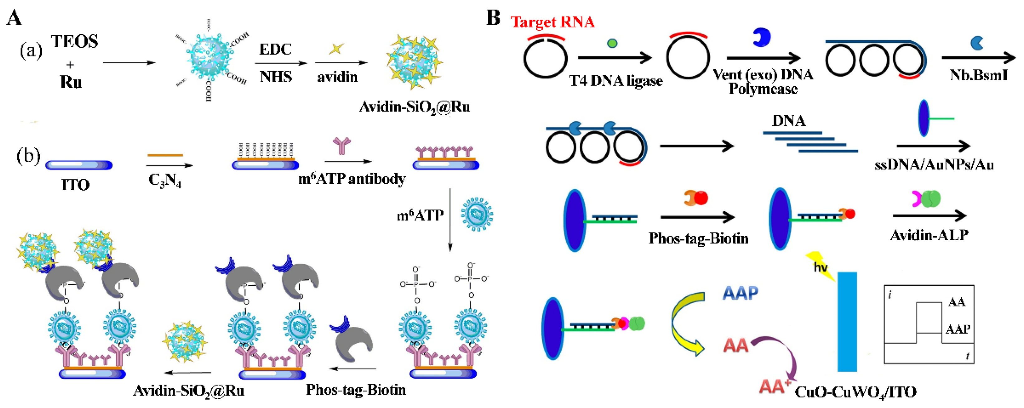 Molecules 28 04394 g005 Molecules 28 04394 g005