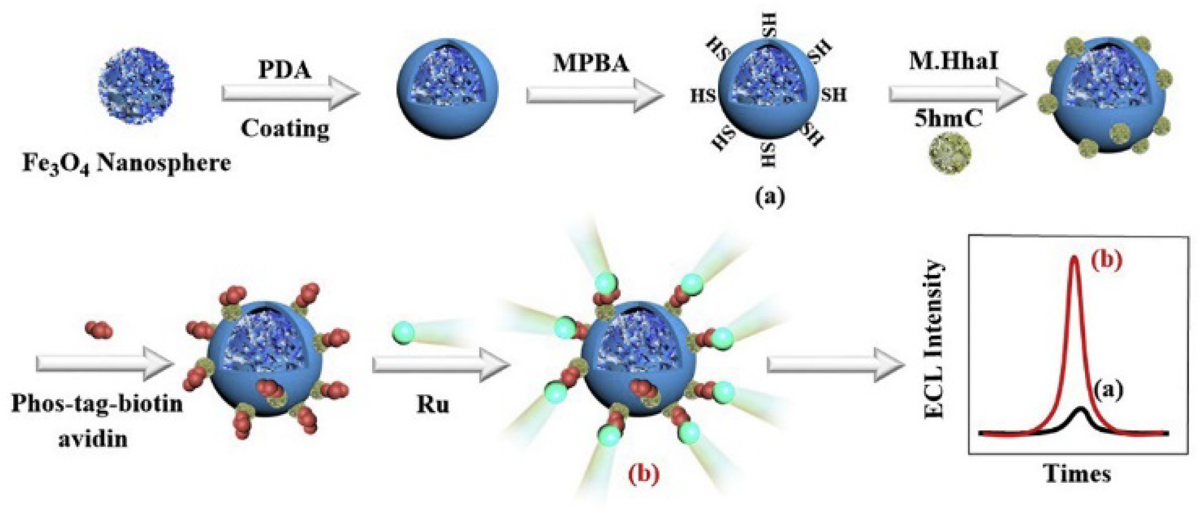 Molecules 28 04394 g006 Molecules 28 04394 g006