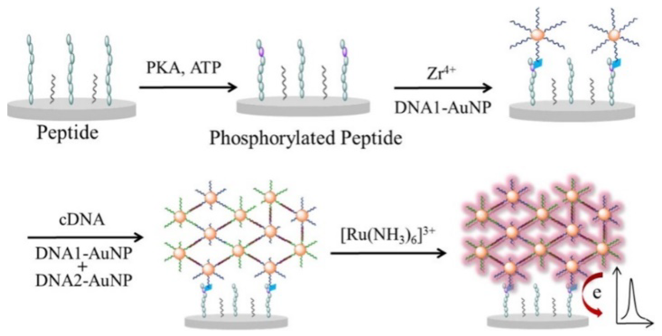 Molecules 28 04394 g008 Molecules 28 04394 g008