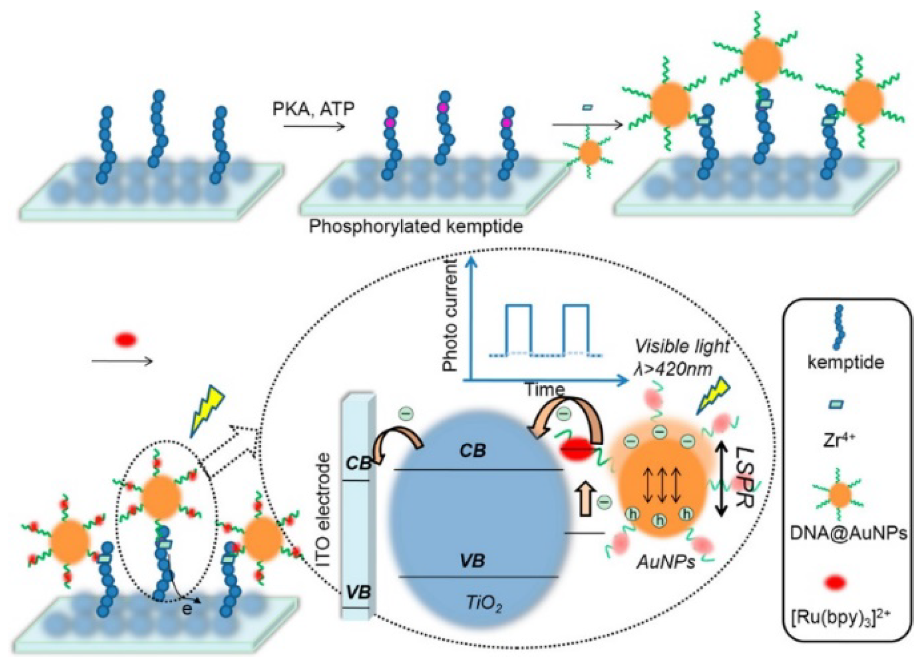 Molecules 28 04394 g010 Molecules 28 04394 g010