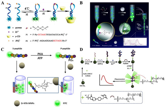 Biosensors with Metal Ion–Phosphate Chelation Interaction