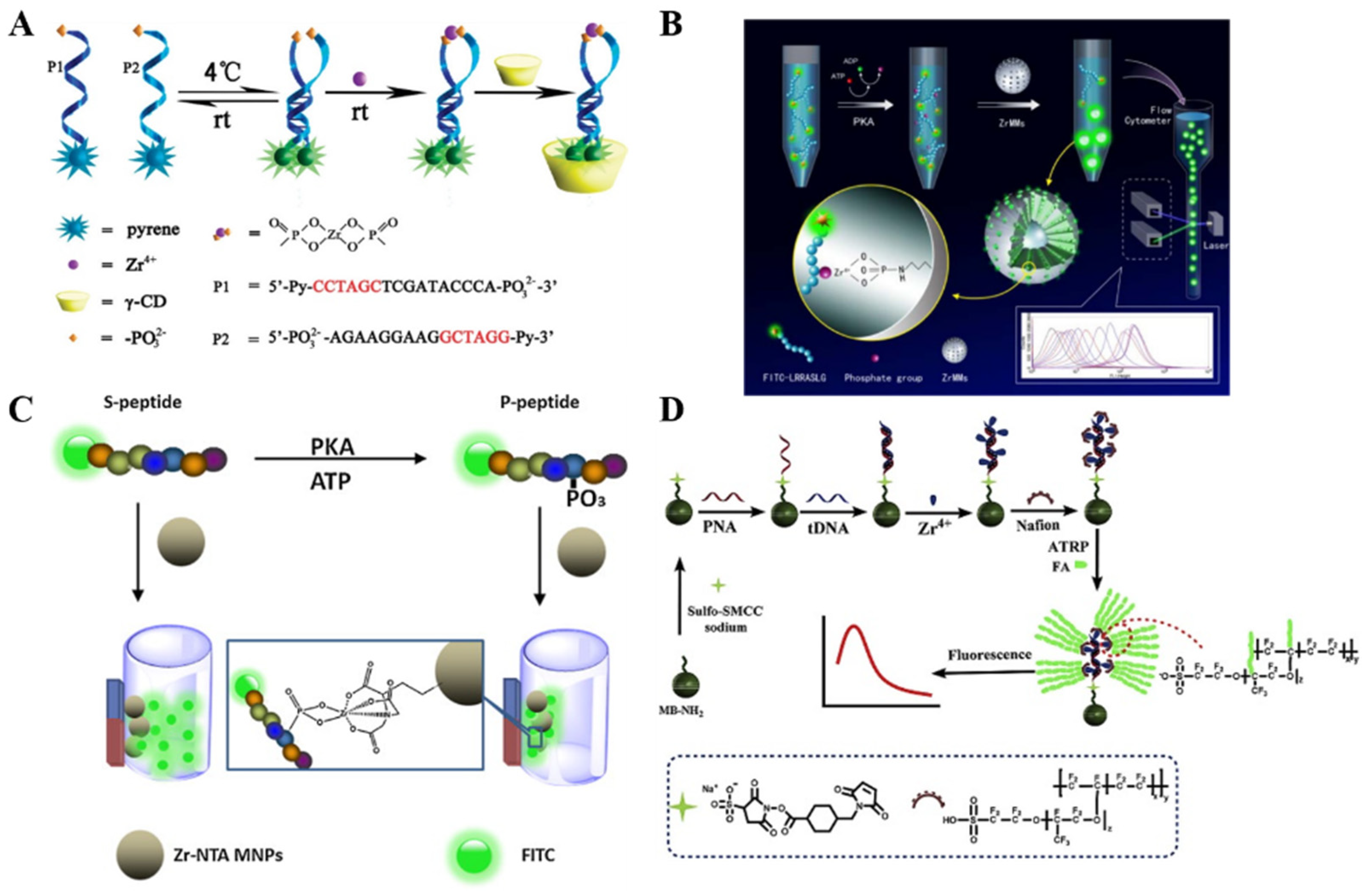 Molecules 28 04394 g011 Molecules 28 04394 g011