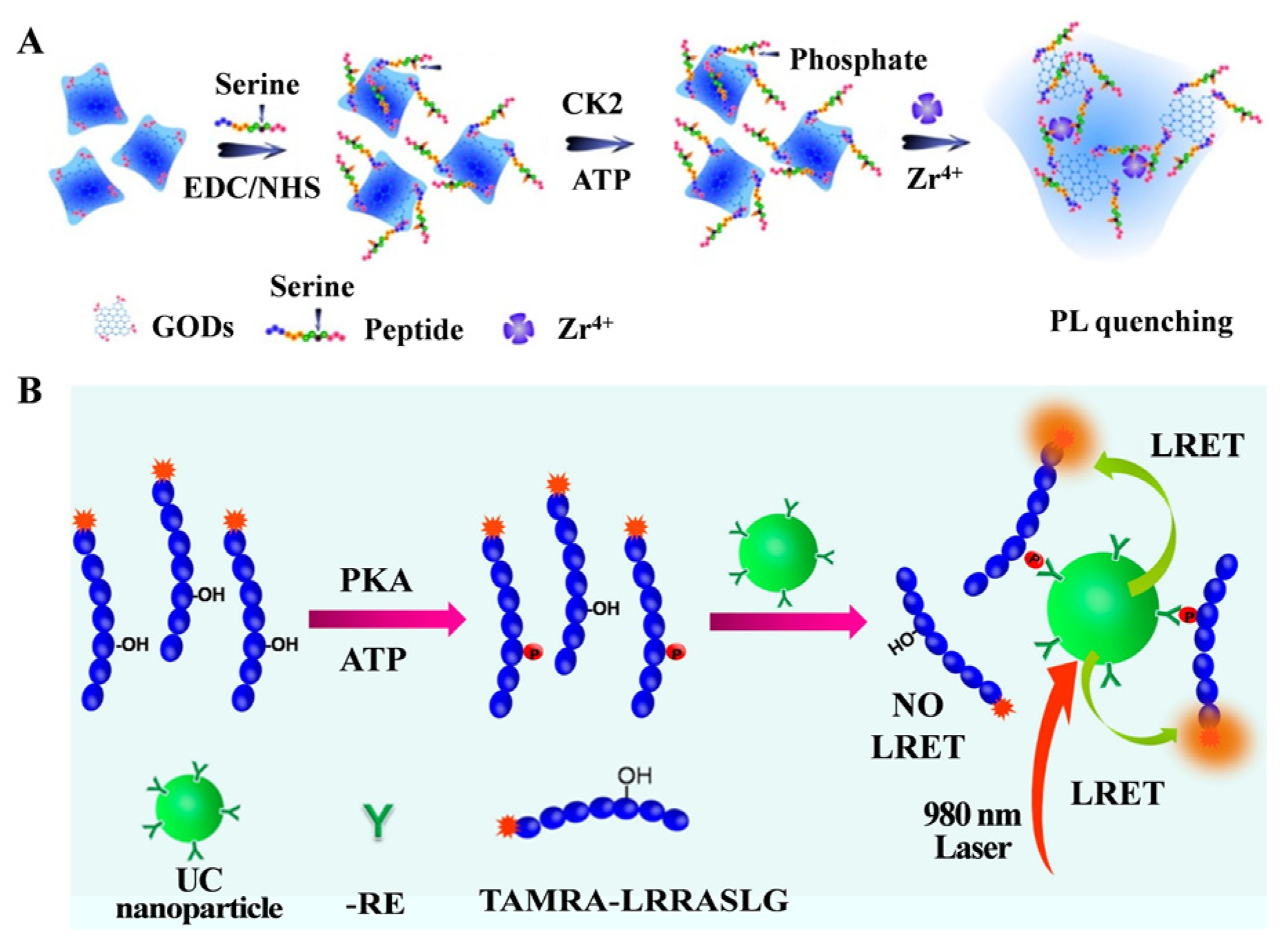 Molecules 28 04394 g012 Molecules 28 04394 g012