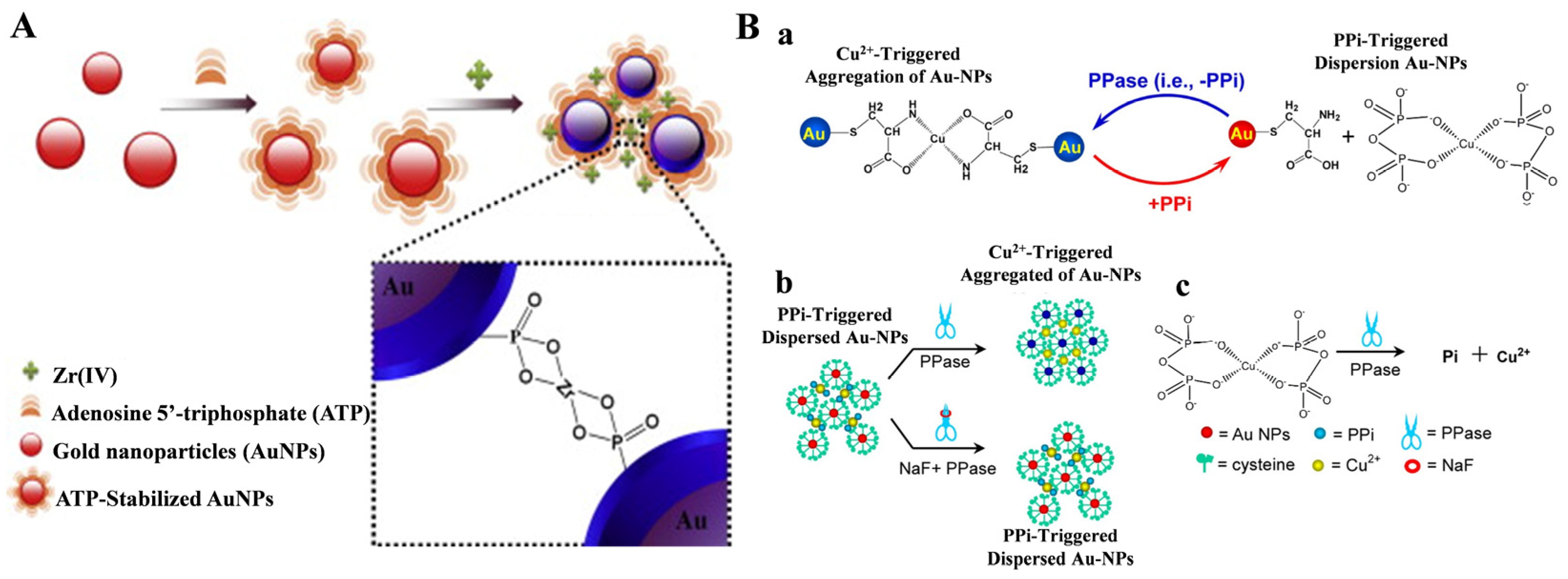 Molecules 28 04394 g013 Molecules 28 04394 g013