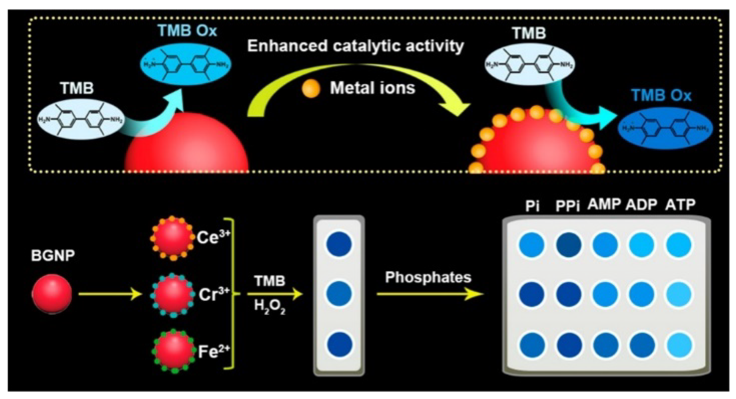 Molecules 28 04394 g014 Molecules 28 04394 g014