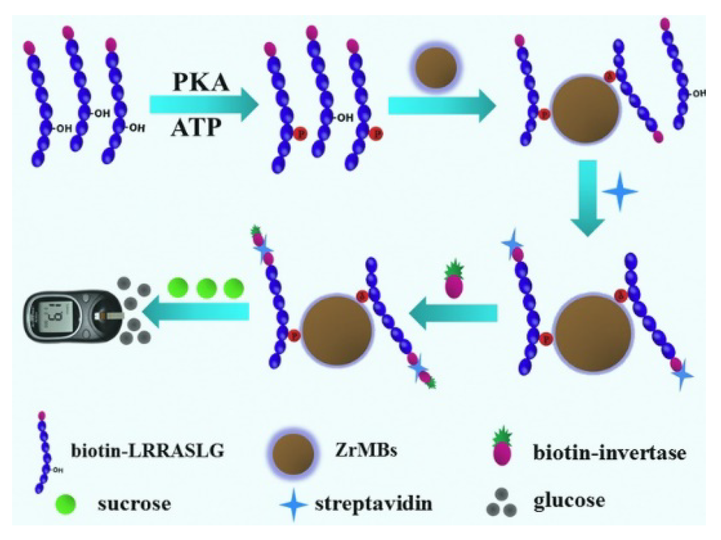 Molecules 28 04394 g015 Molecules 28 04394 g015