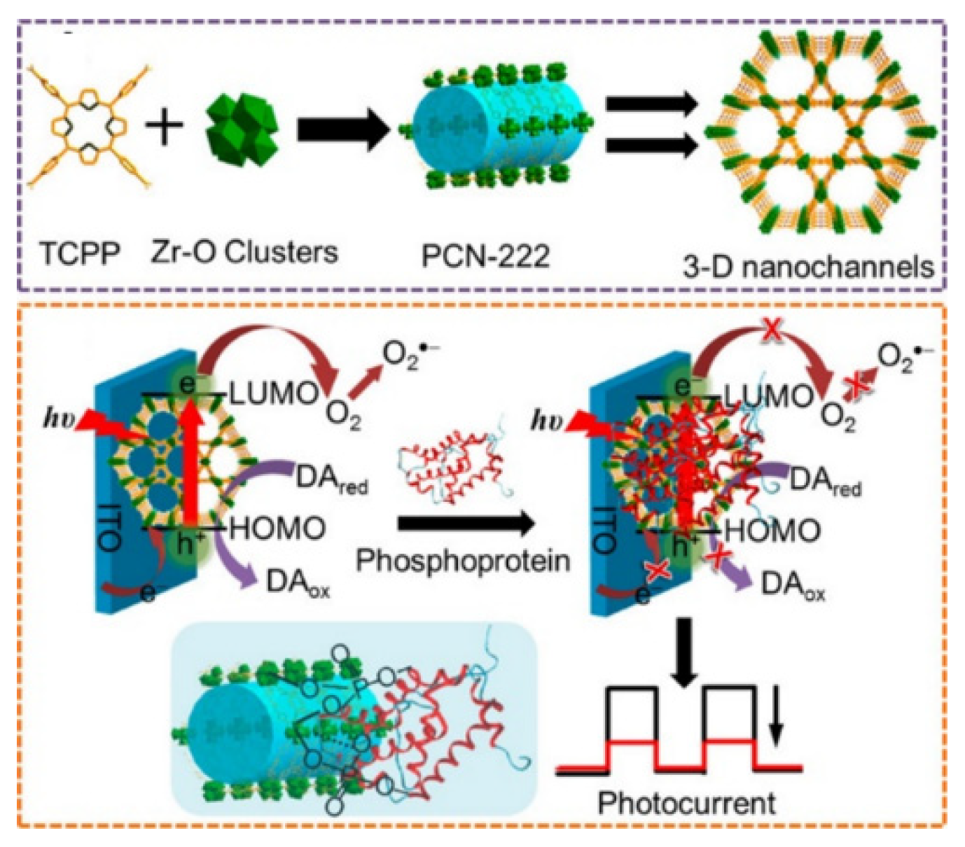 Molecules 28 04394 g016 Molecules 28 04394 g016