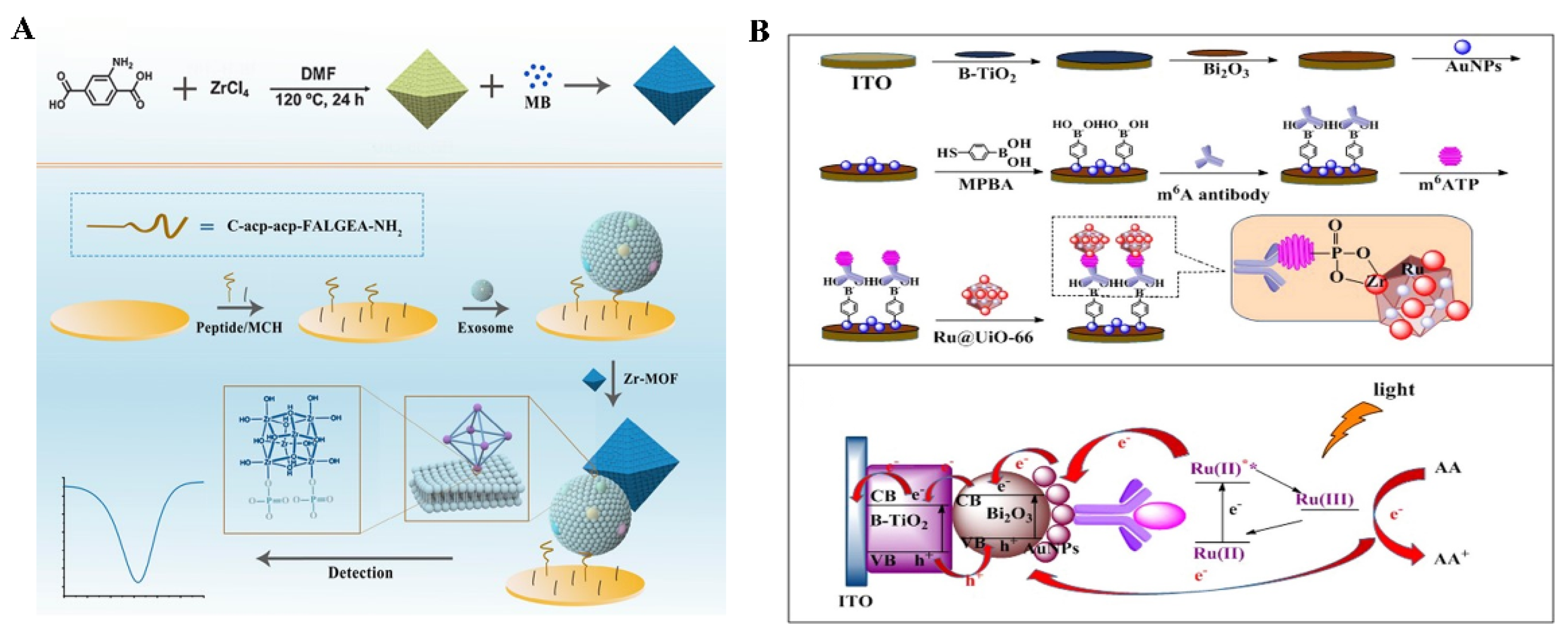 Molecules 28 04394 g017 Molecules 28 04394 g017