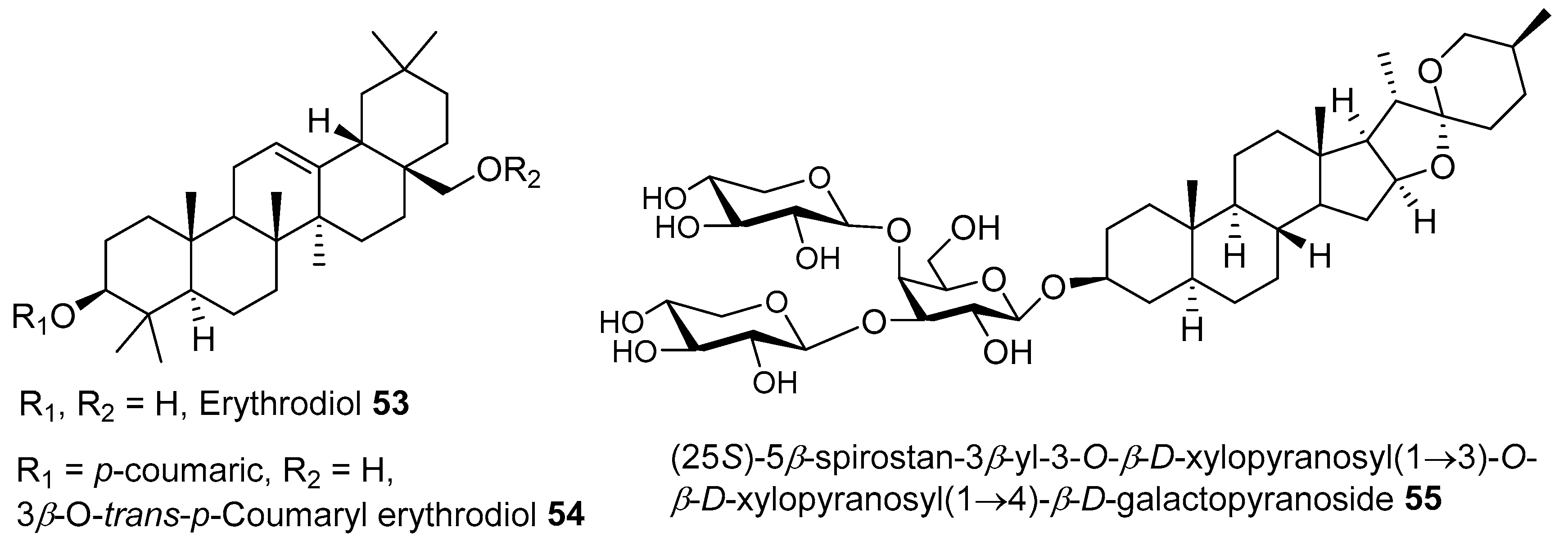 Molecules 28 04396 g004 Molecules 28 04396 g004