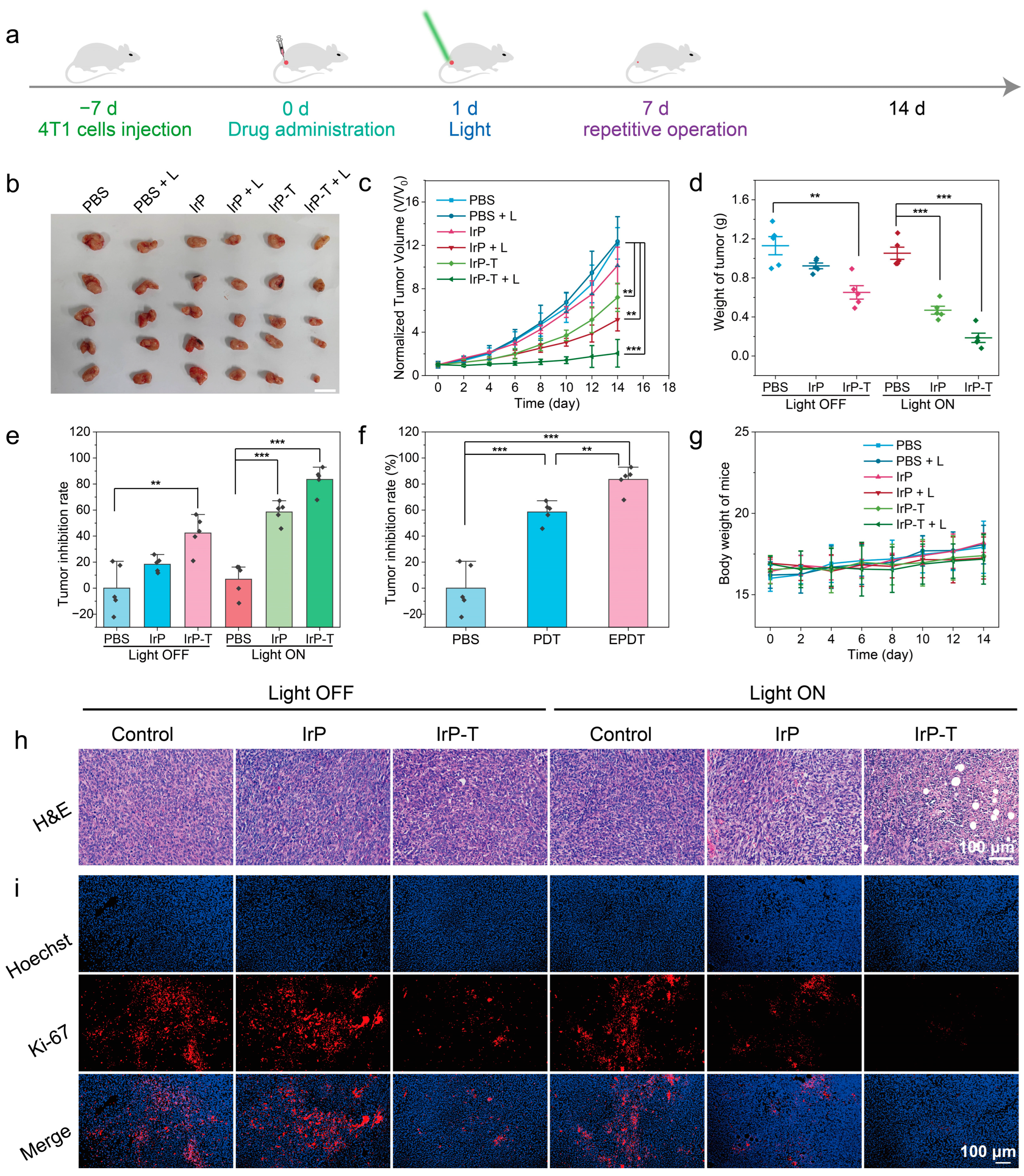 Molecules 28 04397 g004