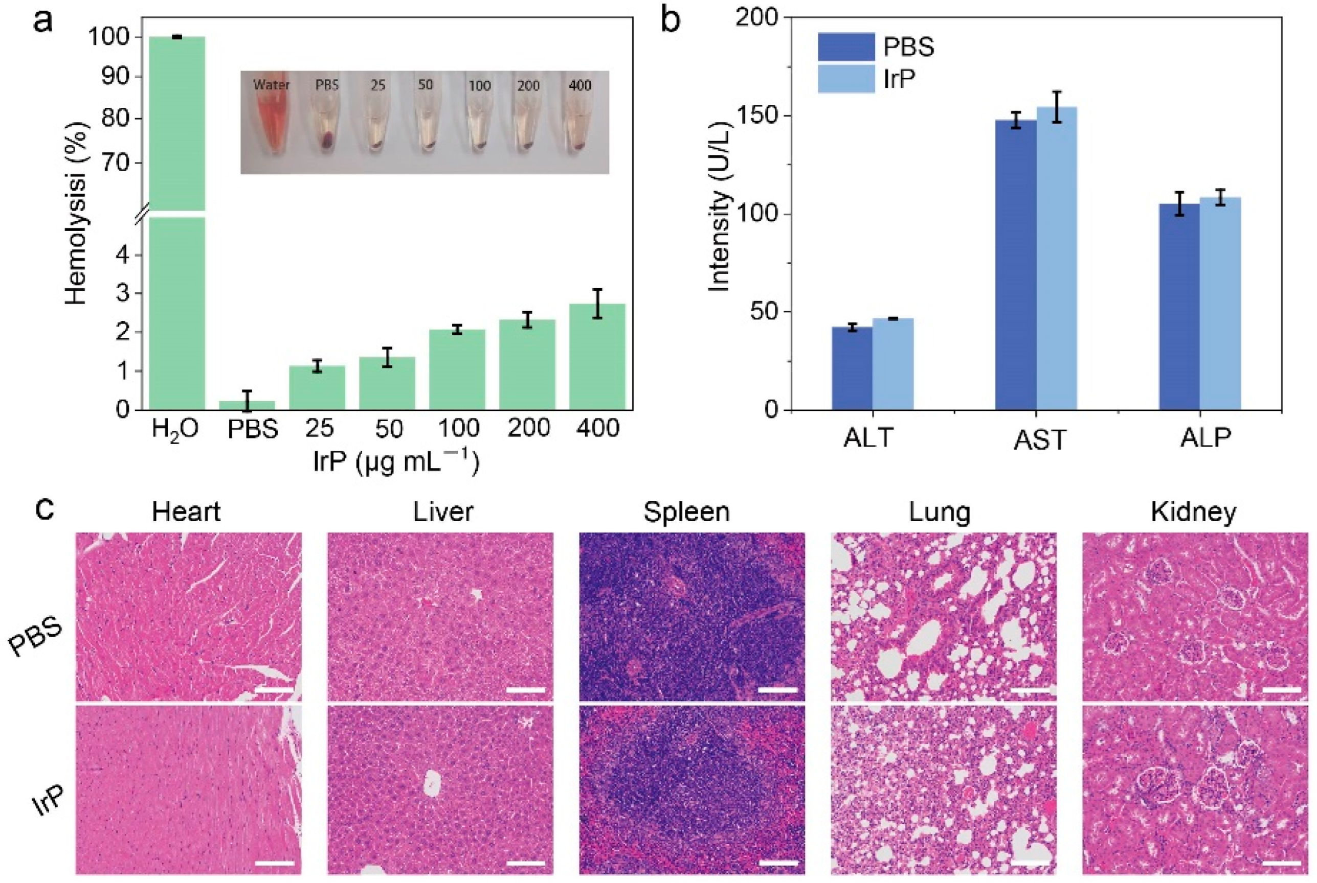 Molecules 28 04397 g005