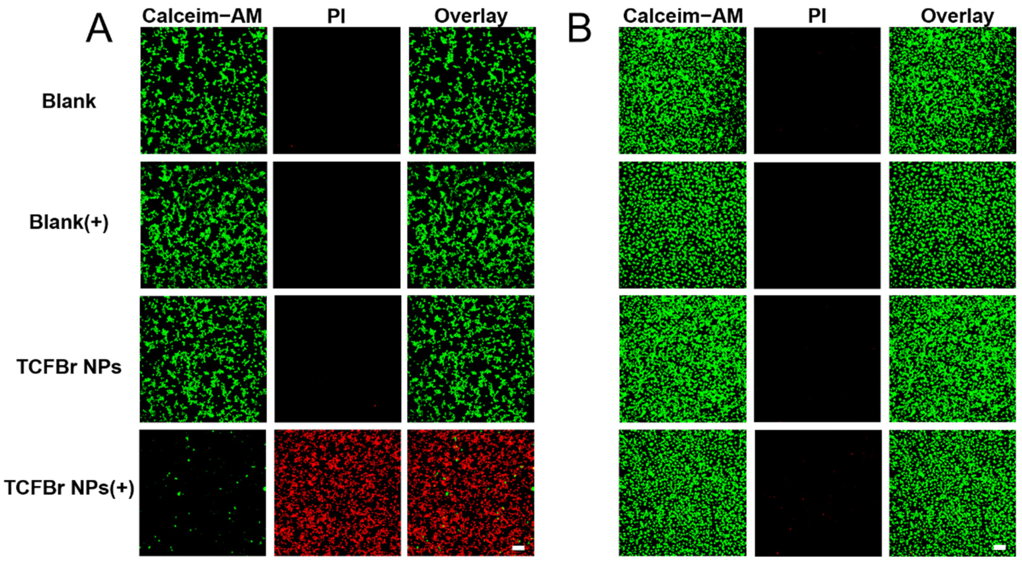 Molecules 28 04404 g005