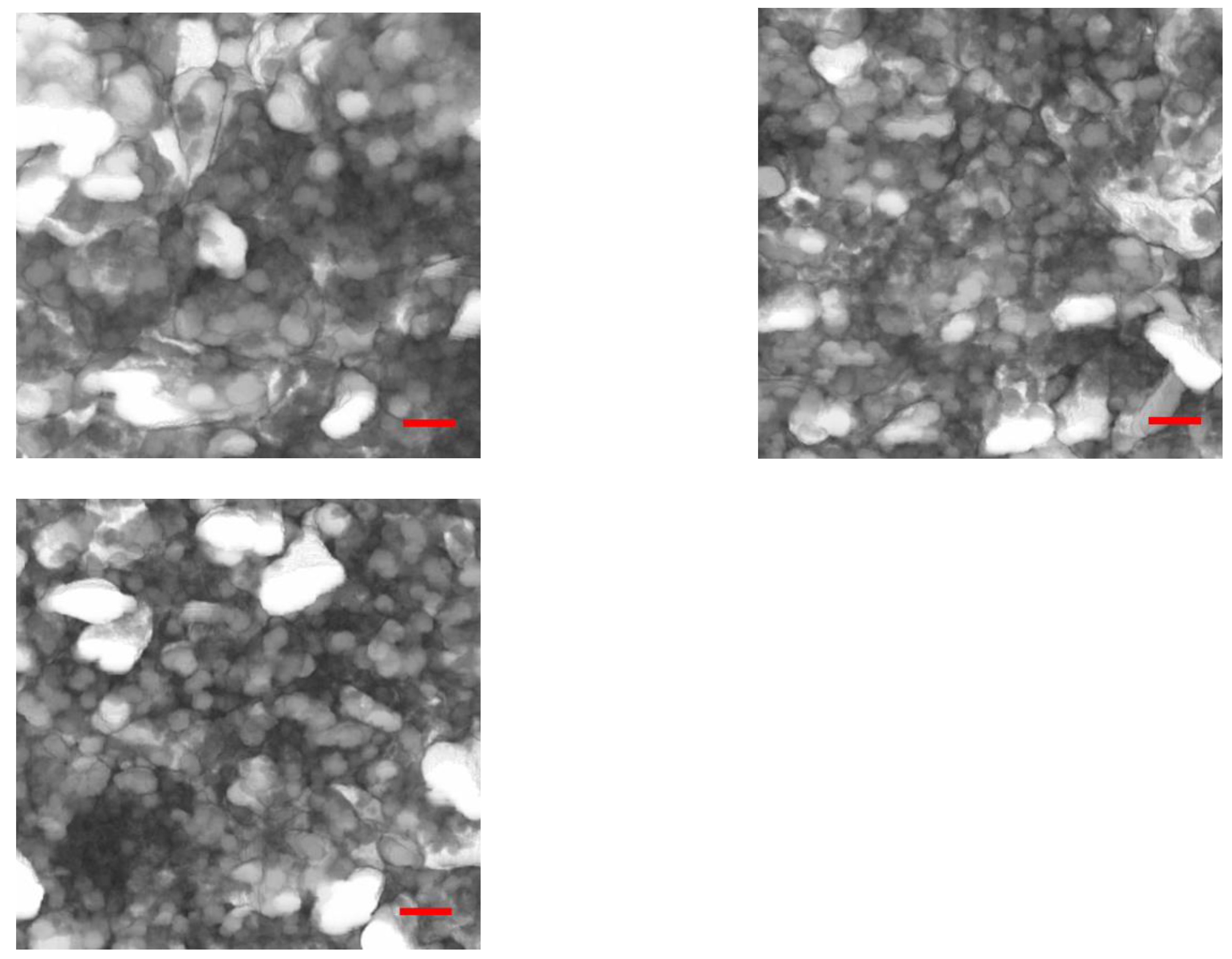 Molecules 28 04406 g005b Molecules 28 04406 g005b