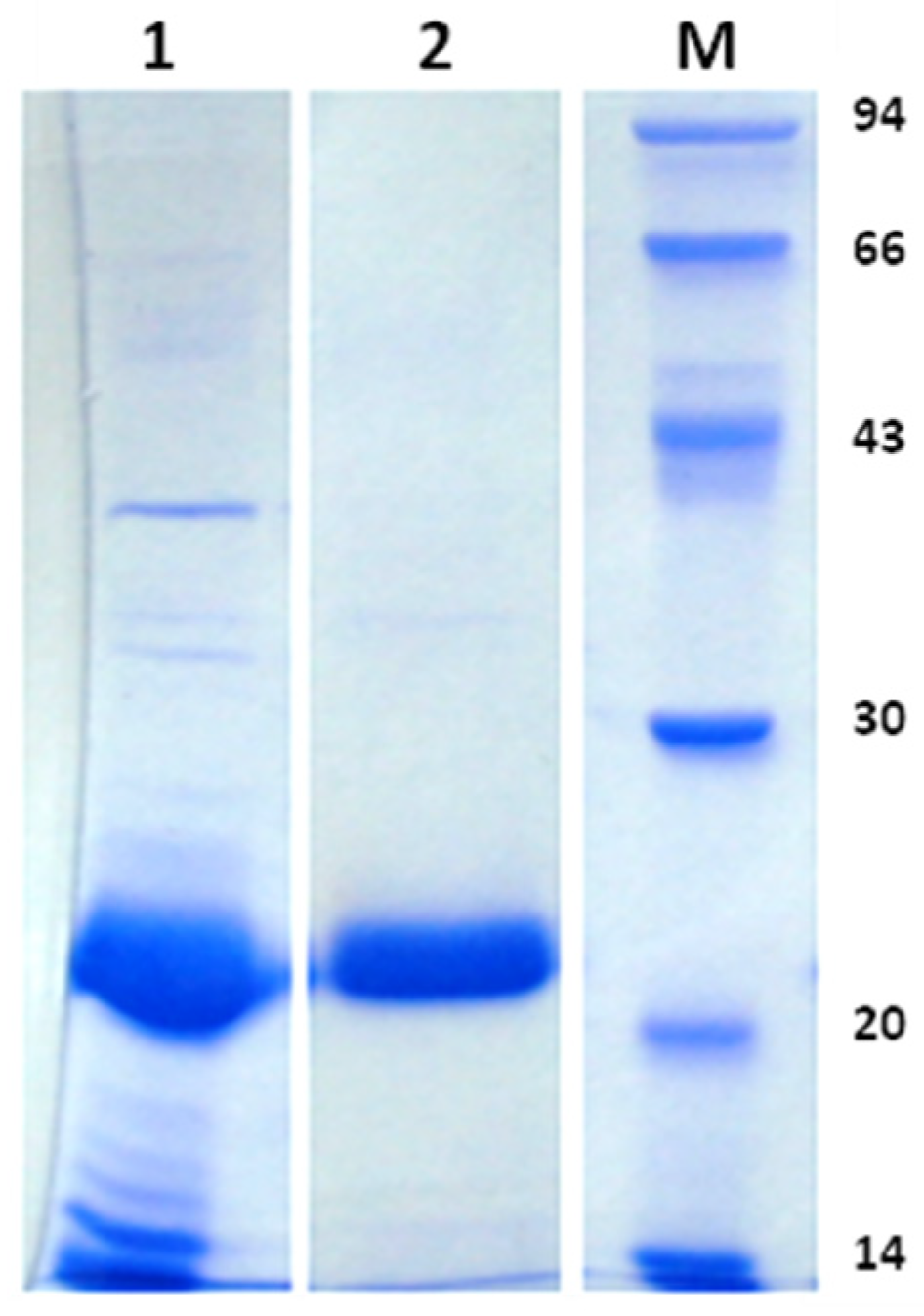 Molecules 28 04407 g001 Molecules 28 04407 g001