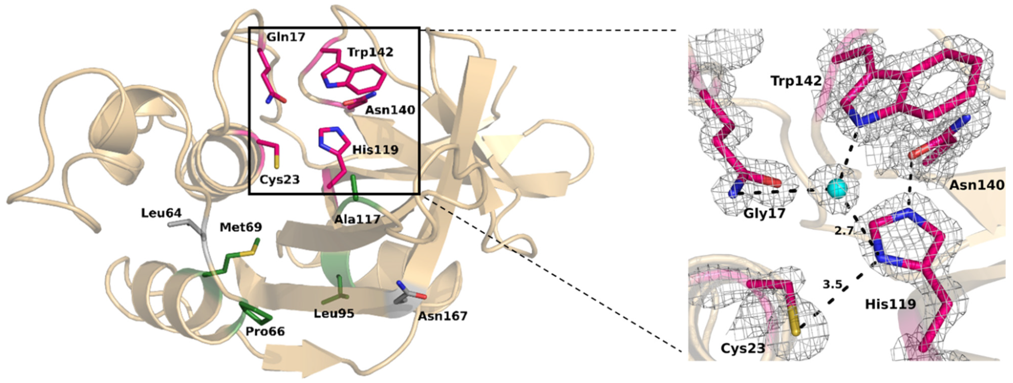 Molecules 28 04407 g004 Molecules 28 04407 g004