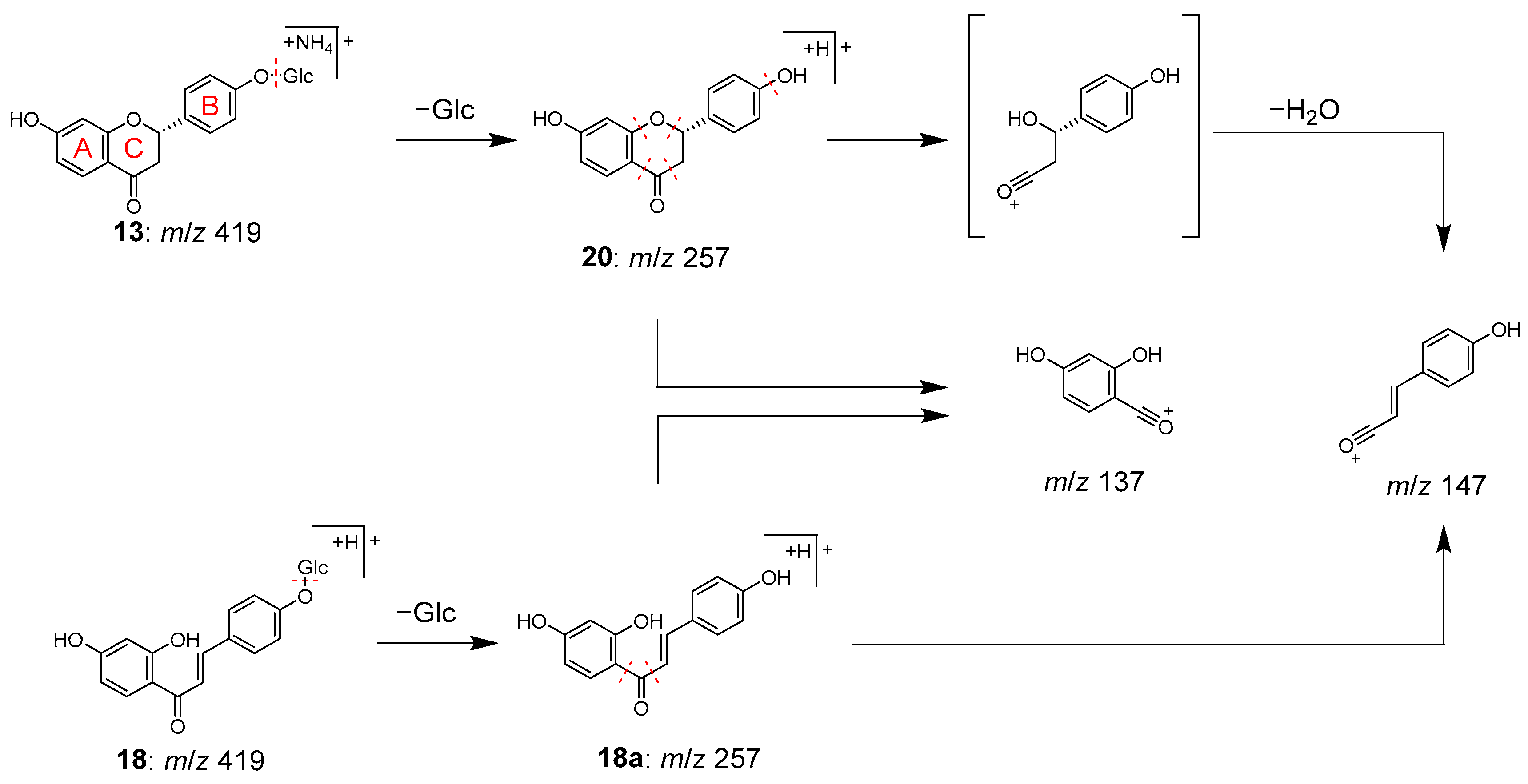 Molecules 28 04409 g005 Molecules 28 04409 g005