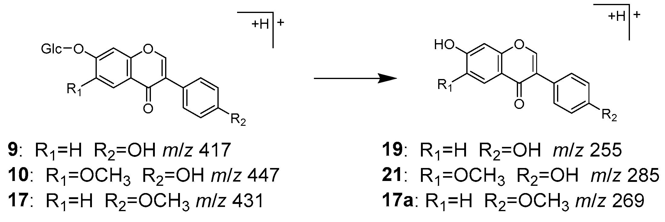 Molecules 28 04409 g006 Molecules 28 04409 g006