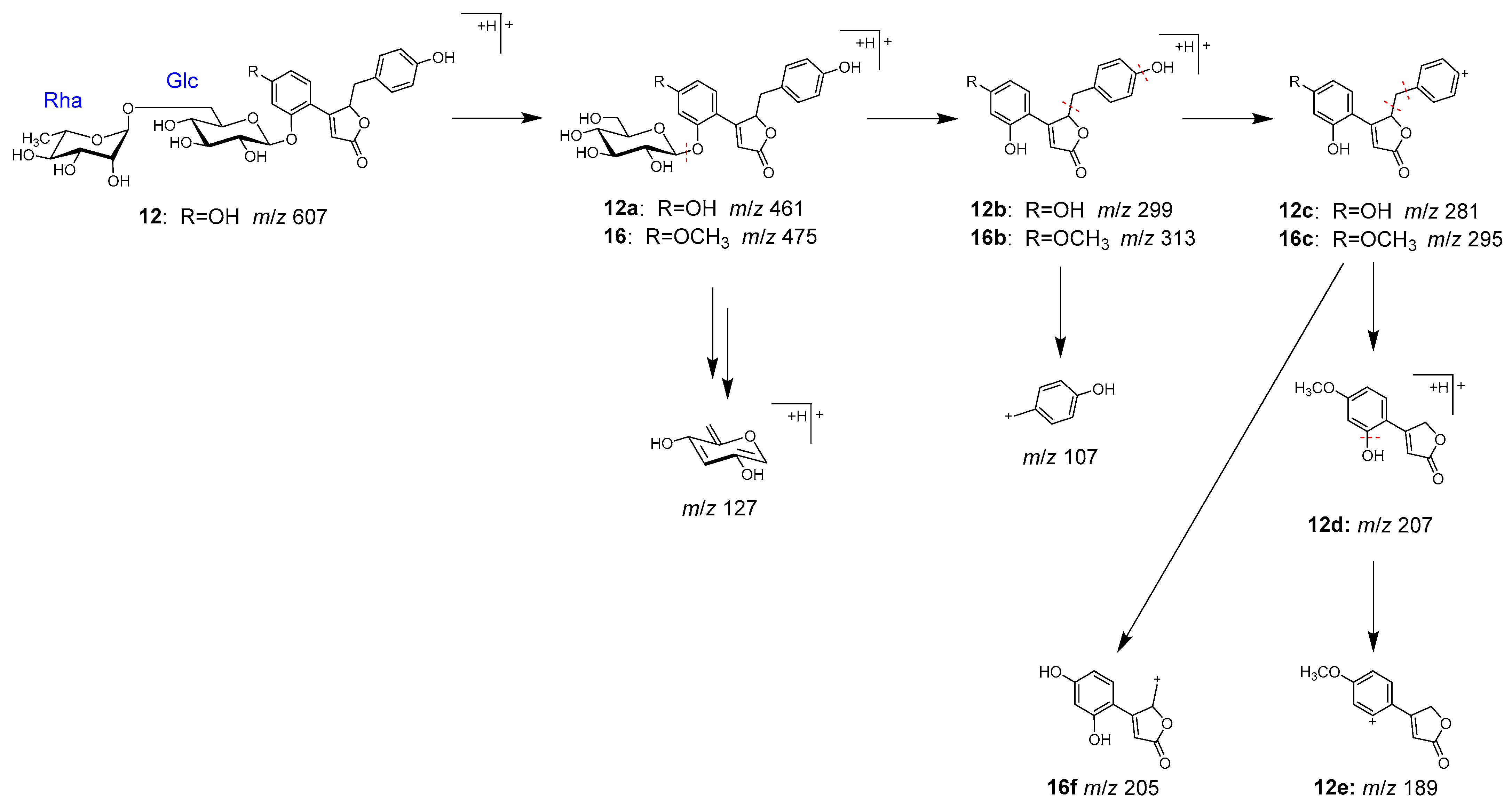 Molecules 28 04409 g008 Molecules 28 04409 g008