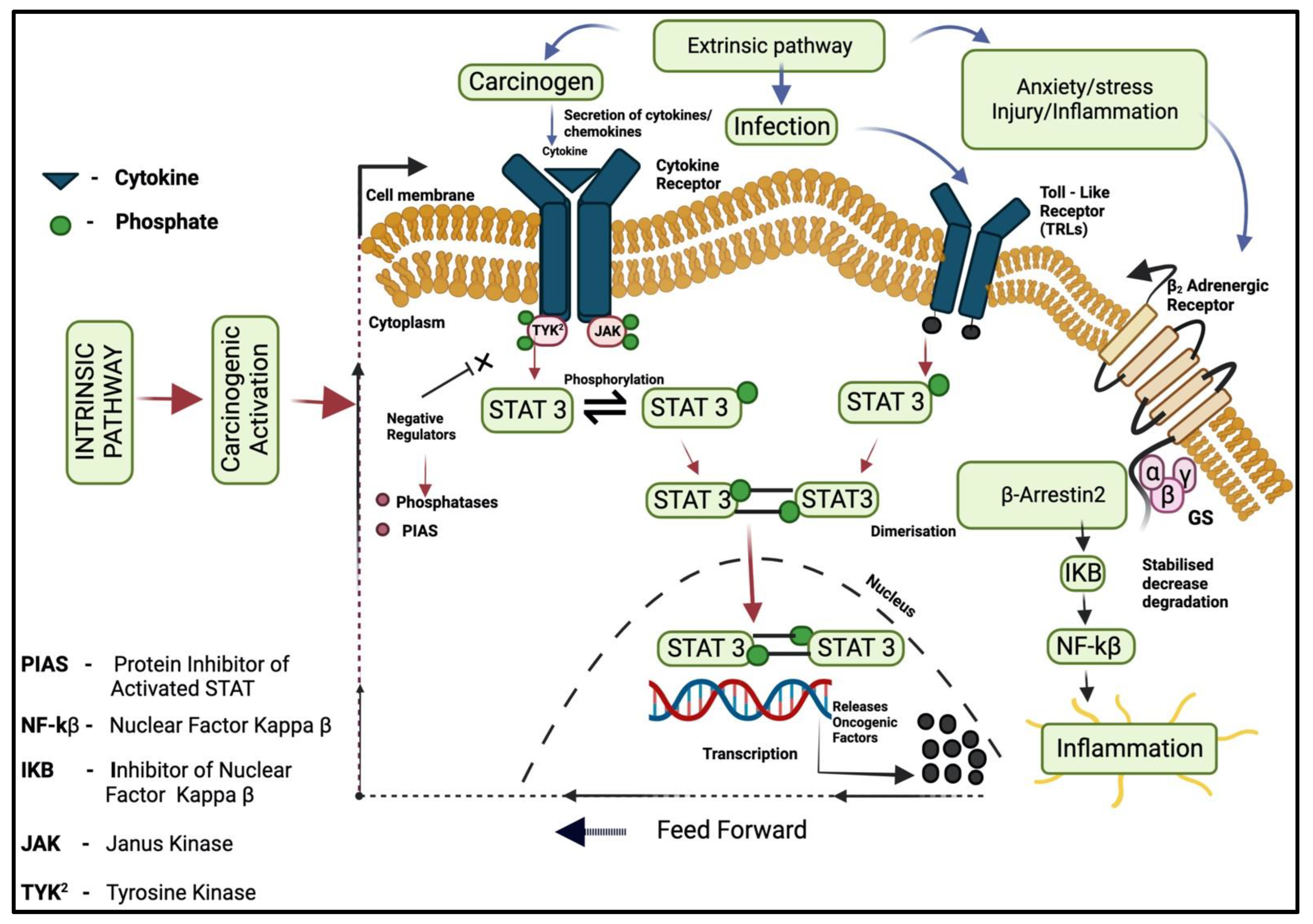 Molecules 28 04413 g001 Molecules 28 04413 g001