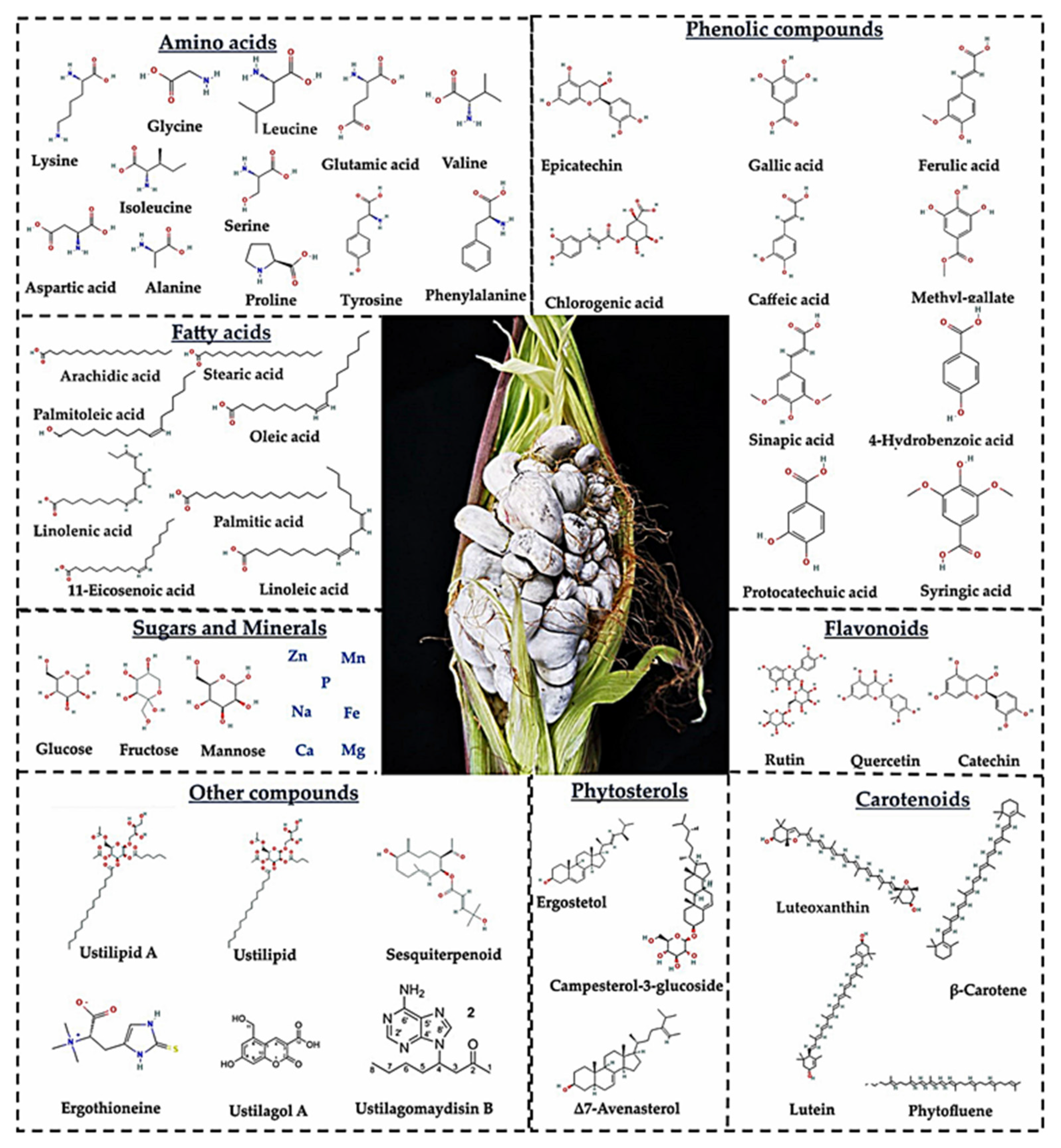 Molecules 28 04415 g002 Molecules 28 04415 g002