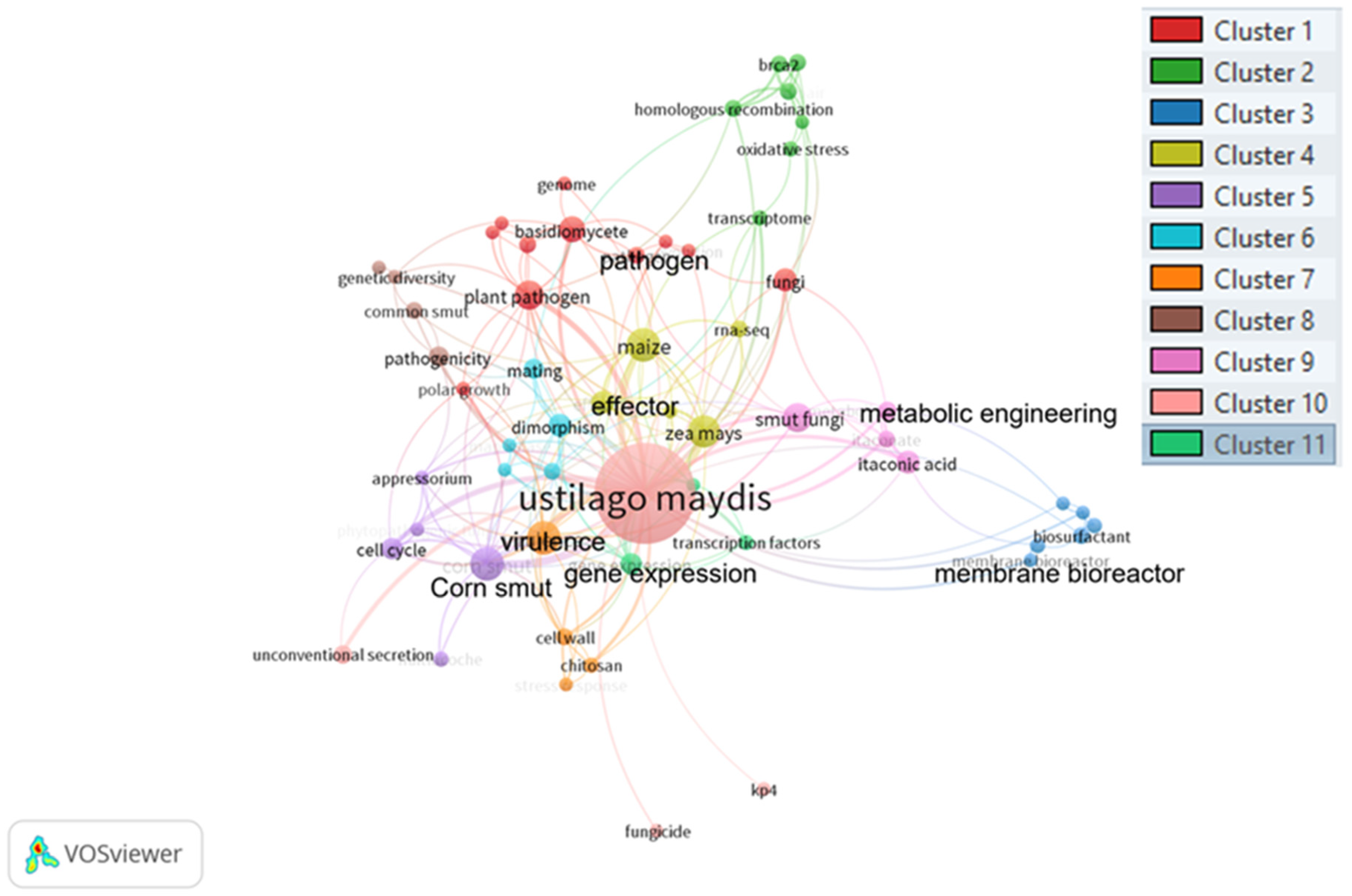Molecules 28 04415 g004 Molecules 28 04415 g004