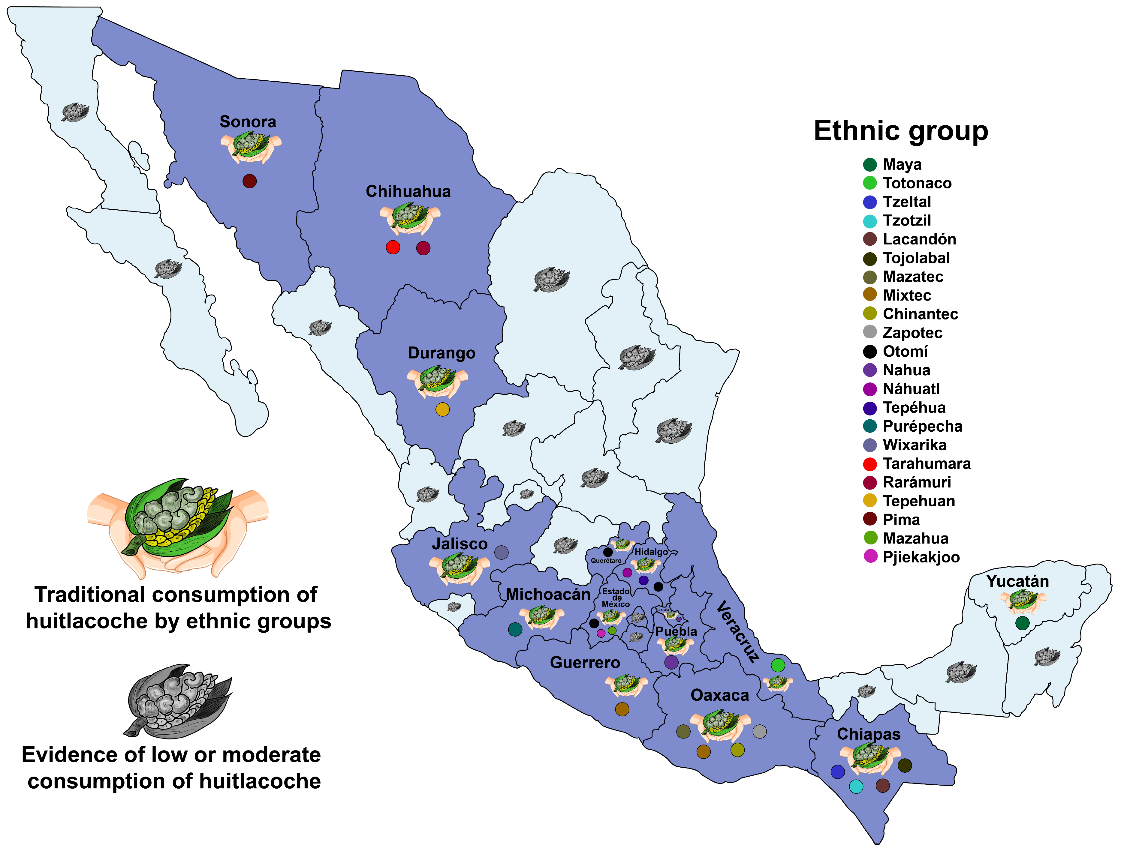 Molecules 28 04415 g005 Molecules 28 04415 g005