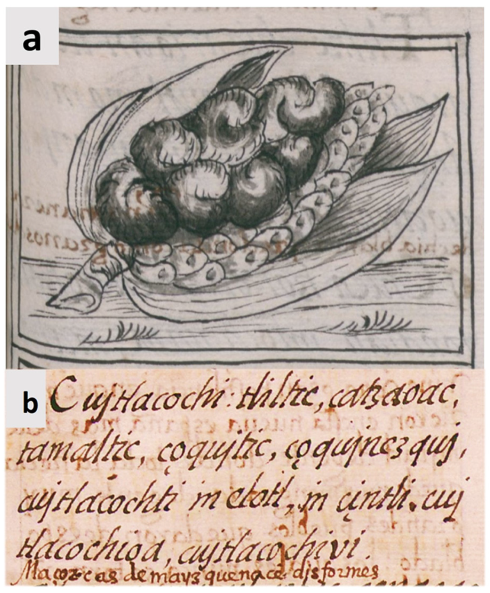 Molecules 28 04415 g006 Molecules 28 04415 g006