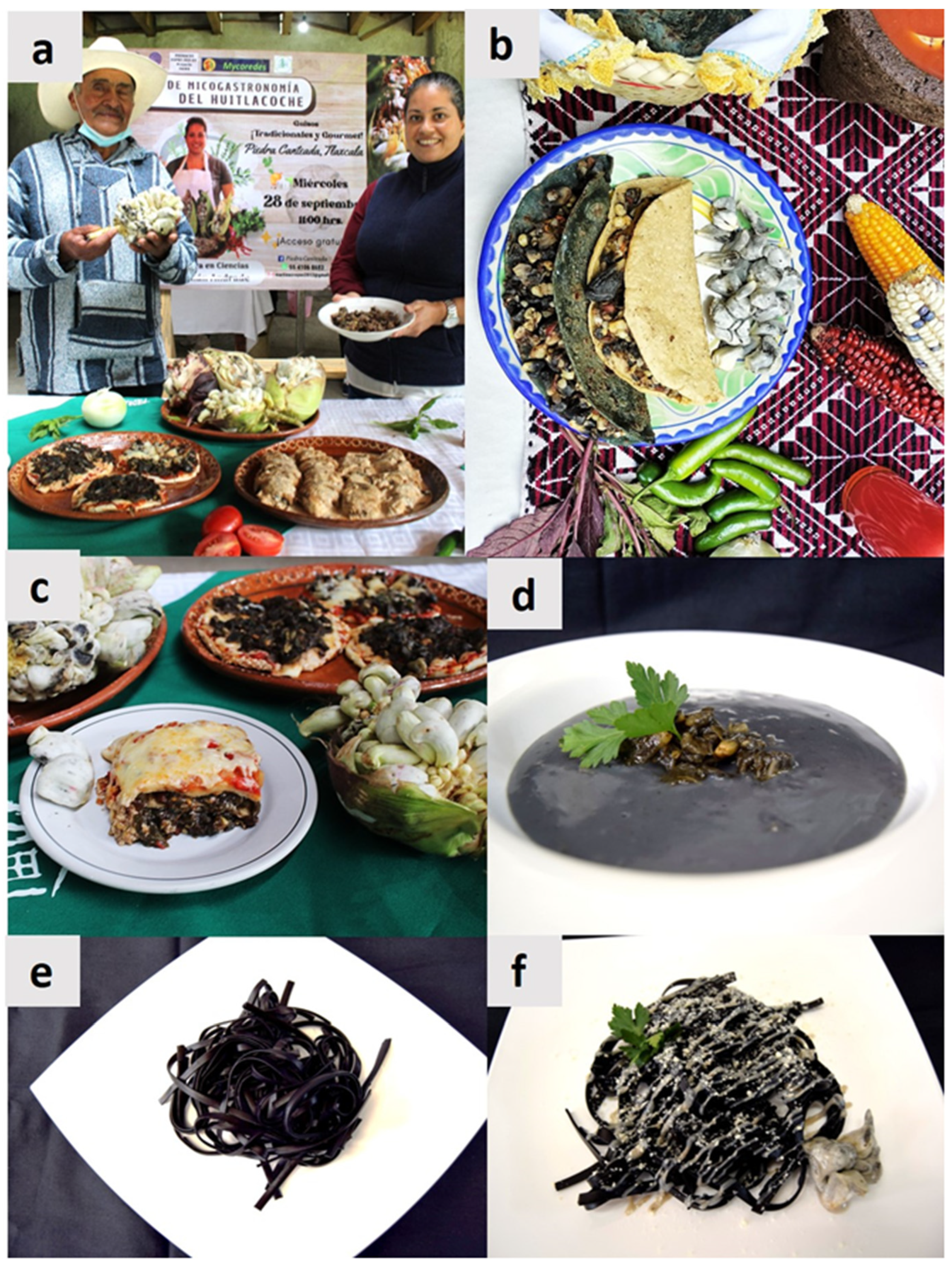 Molecules 28 04415 g007 Molecules 28 04415 g007