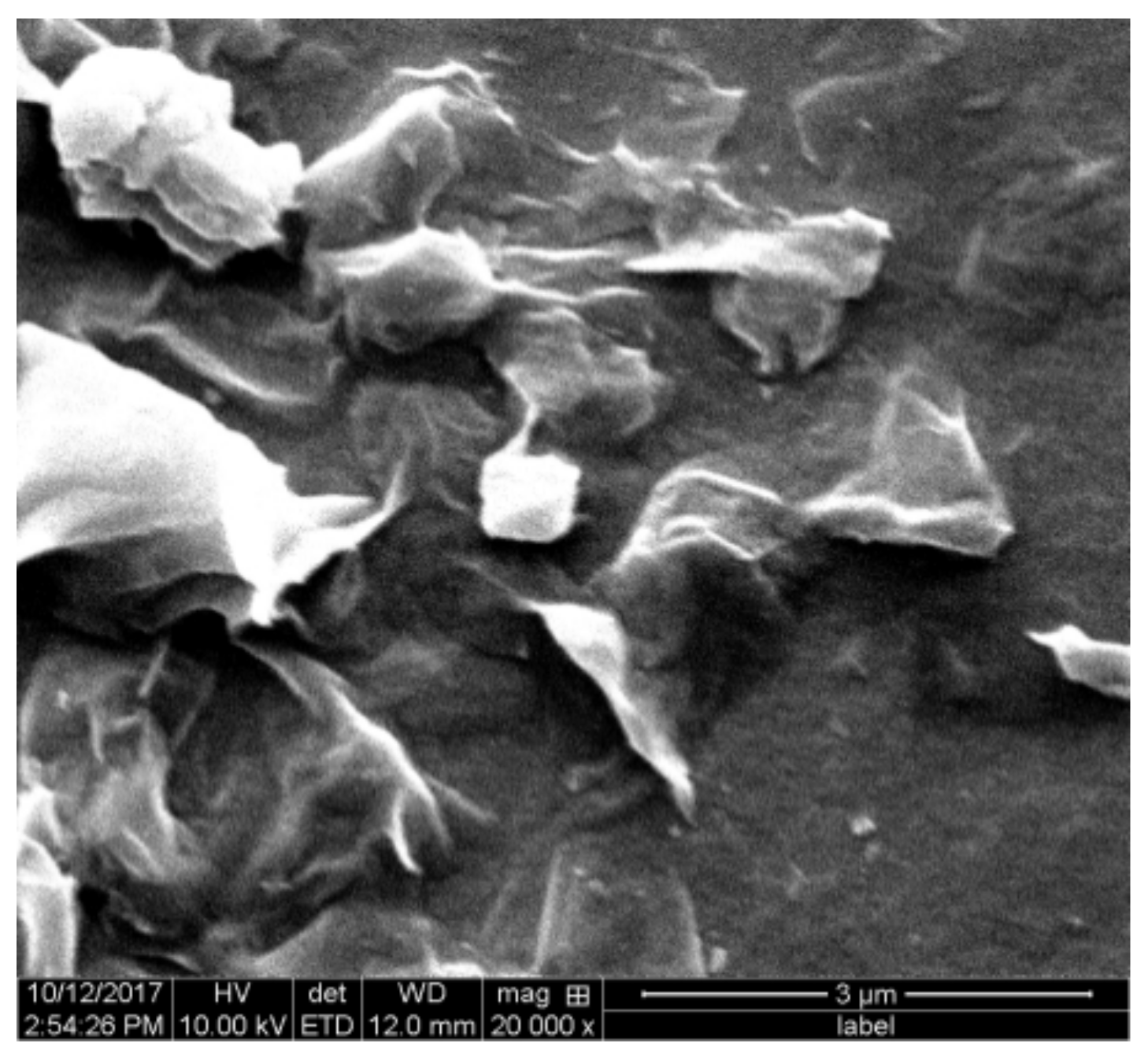 Molecules 28 04417 g004