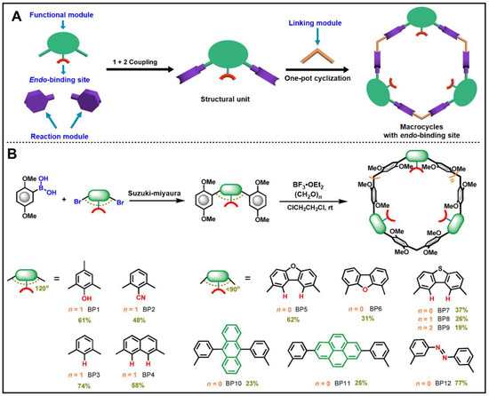 Biphenarenes, Versatile Synthetic Macrocycles for Supramolecular