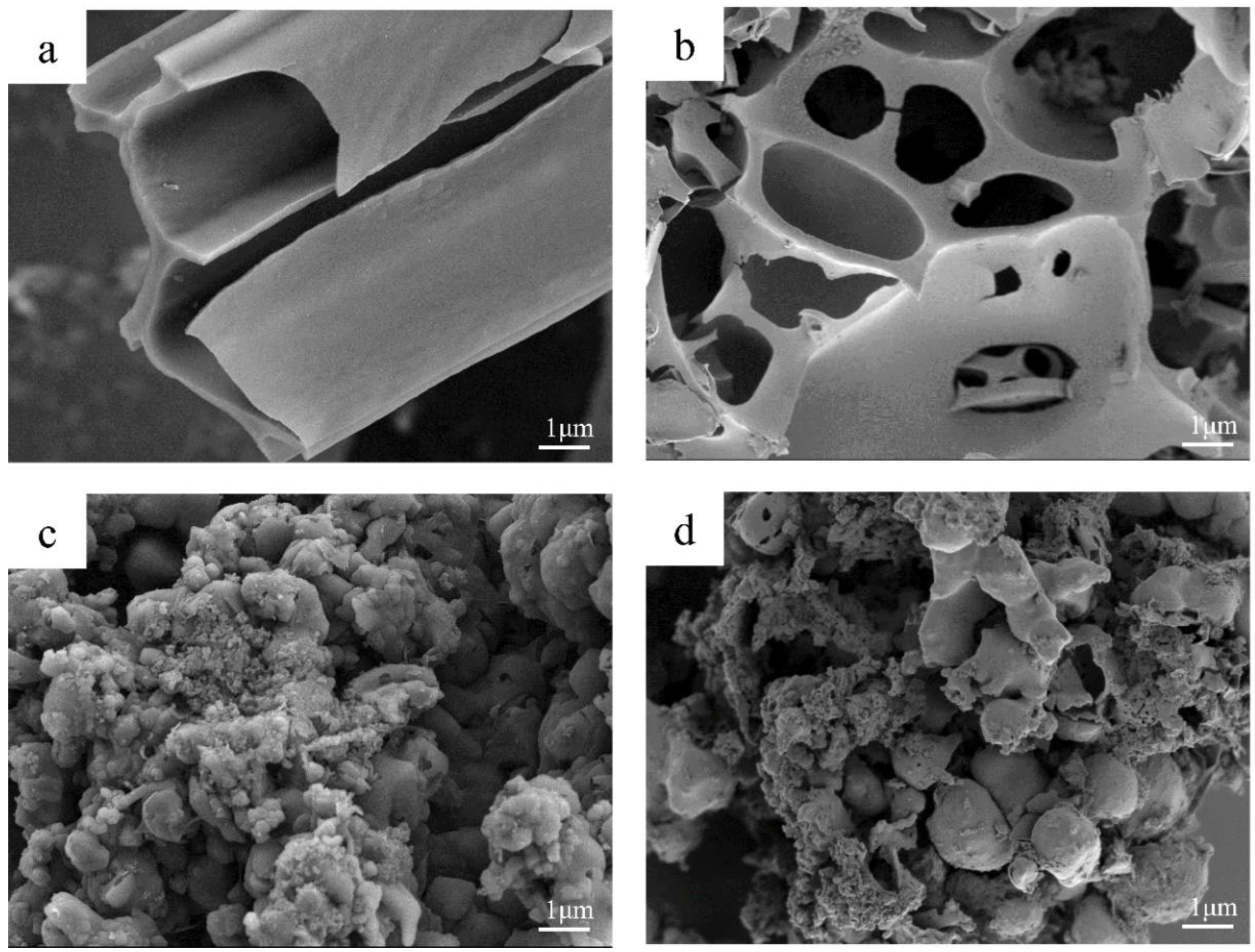 Molecules 28 04427 g002