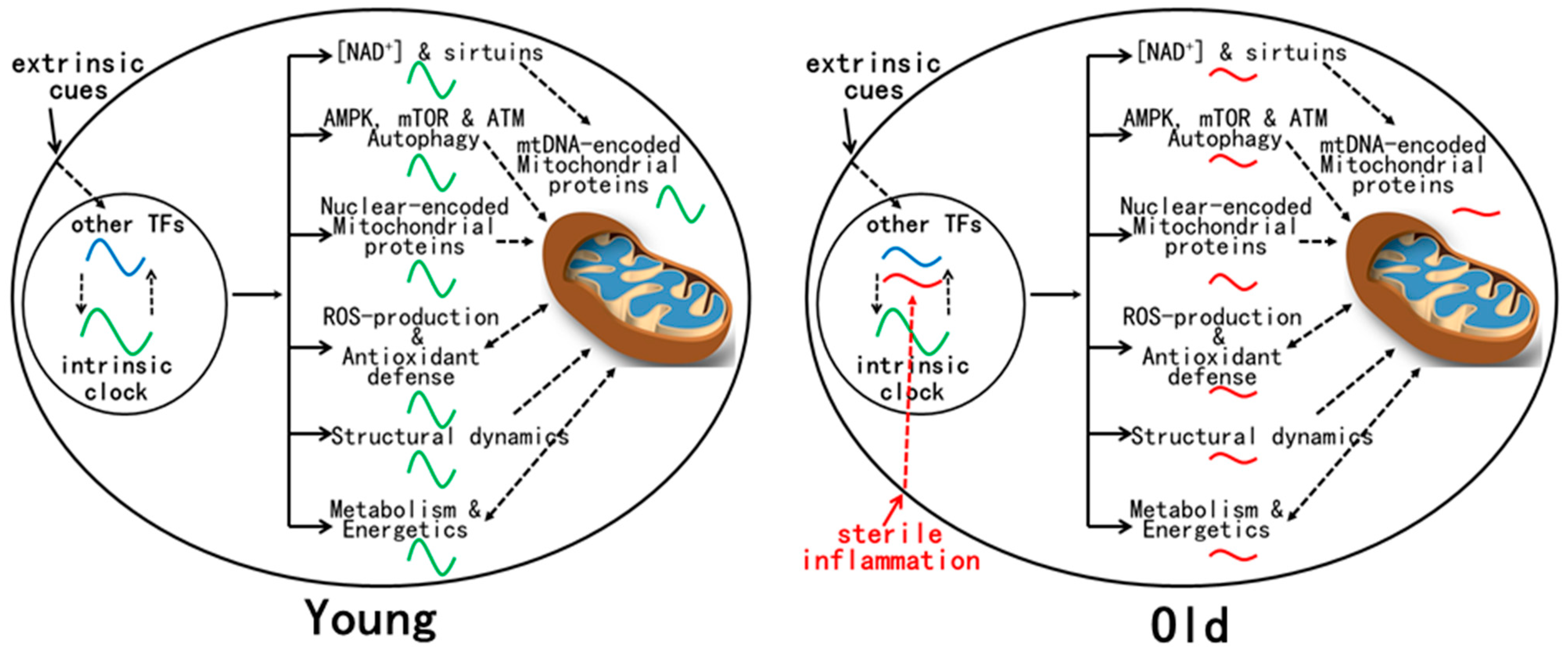 Molecules 28 04432 g001 Molecules 28 04432 g001