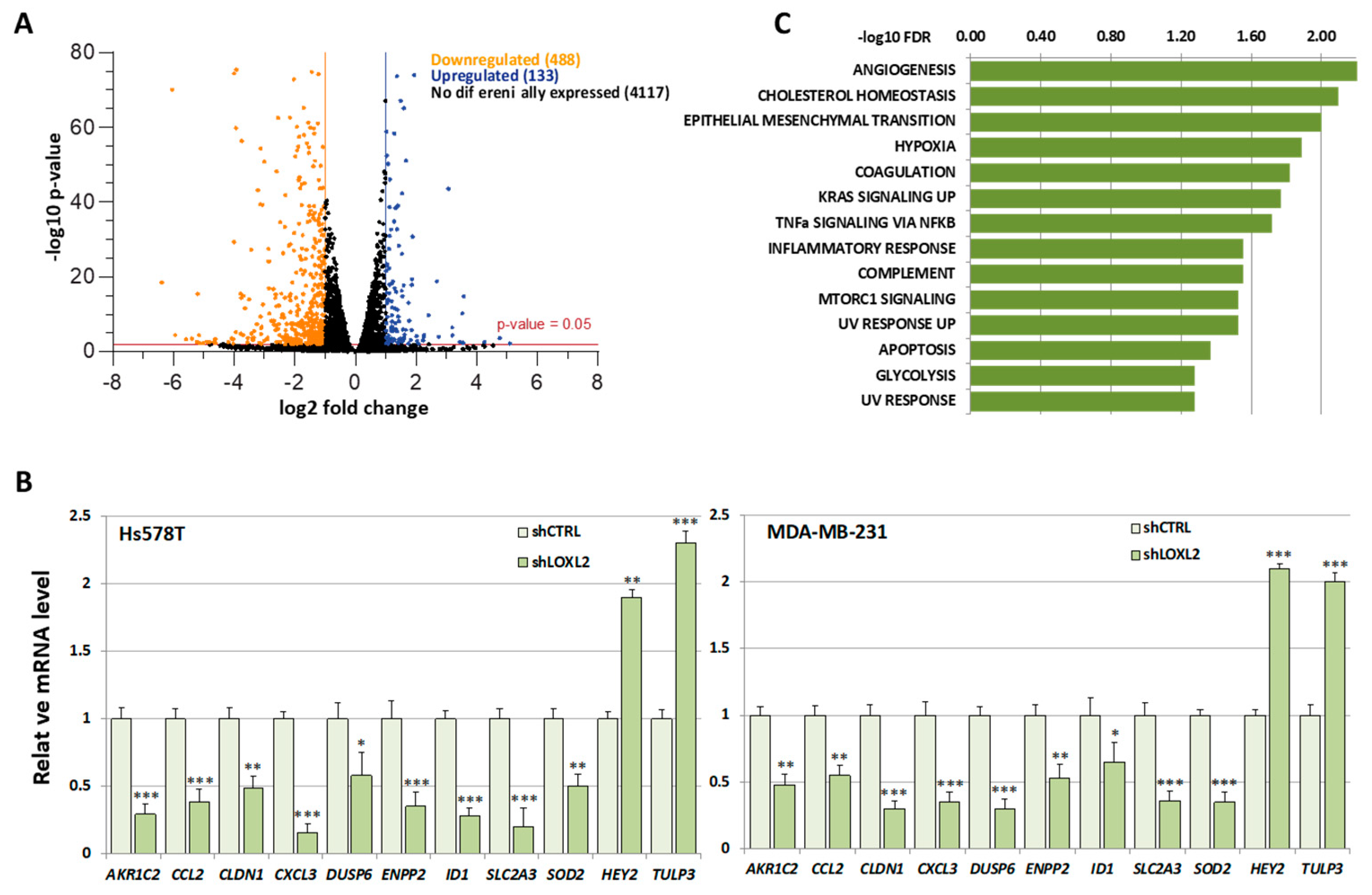 Molecules 28 04433 g004 Molecules 28 04433 g004