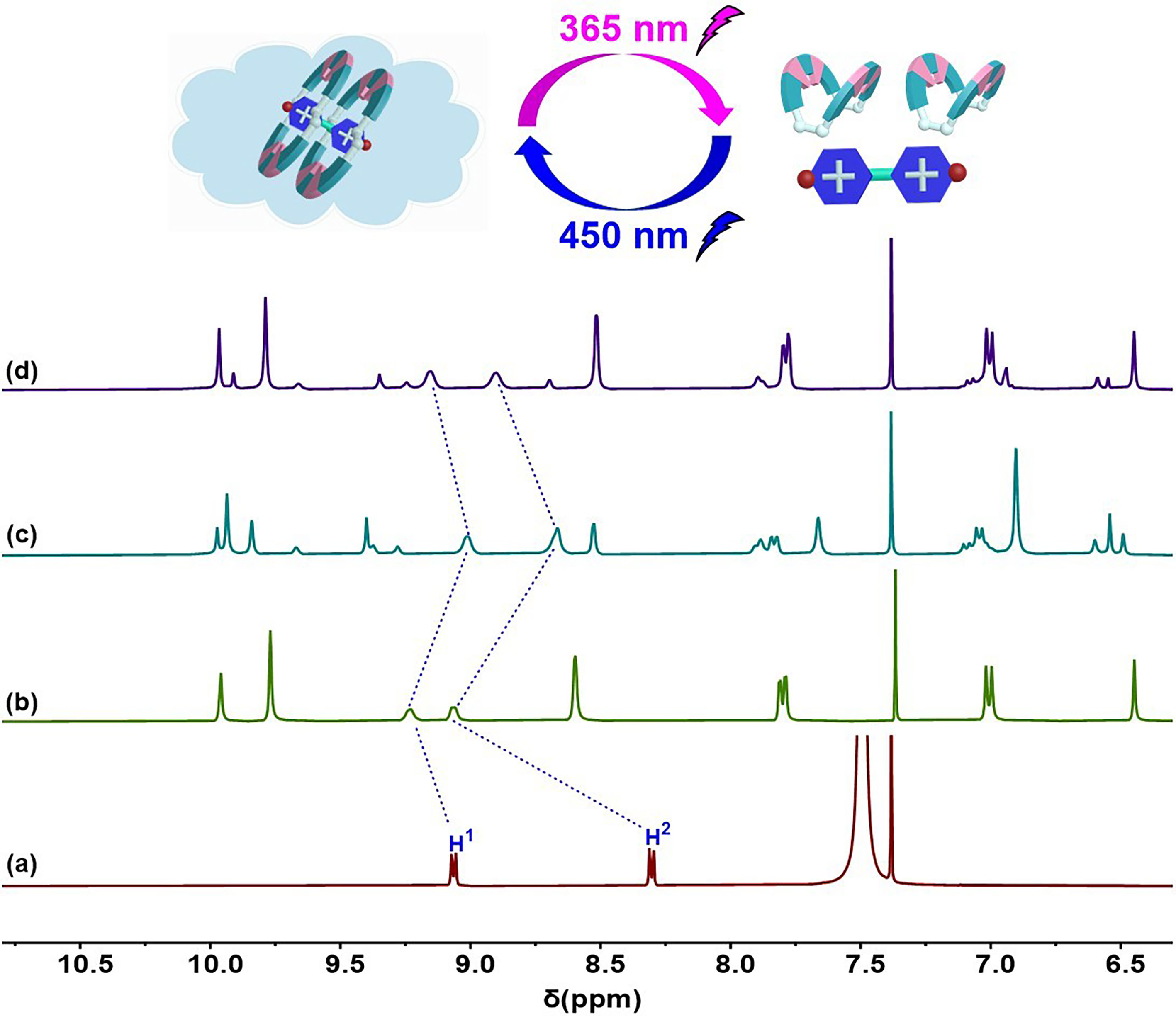 Molecules 28 04437 g002 Molecules 28 04437 g002