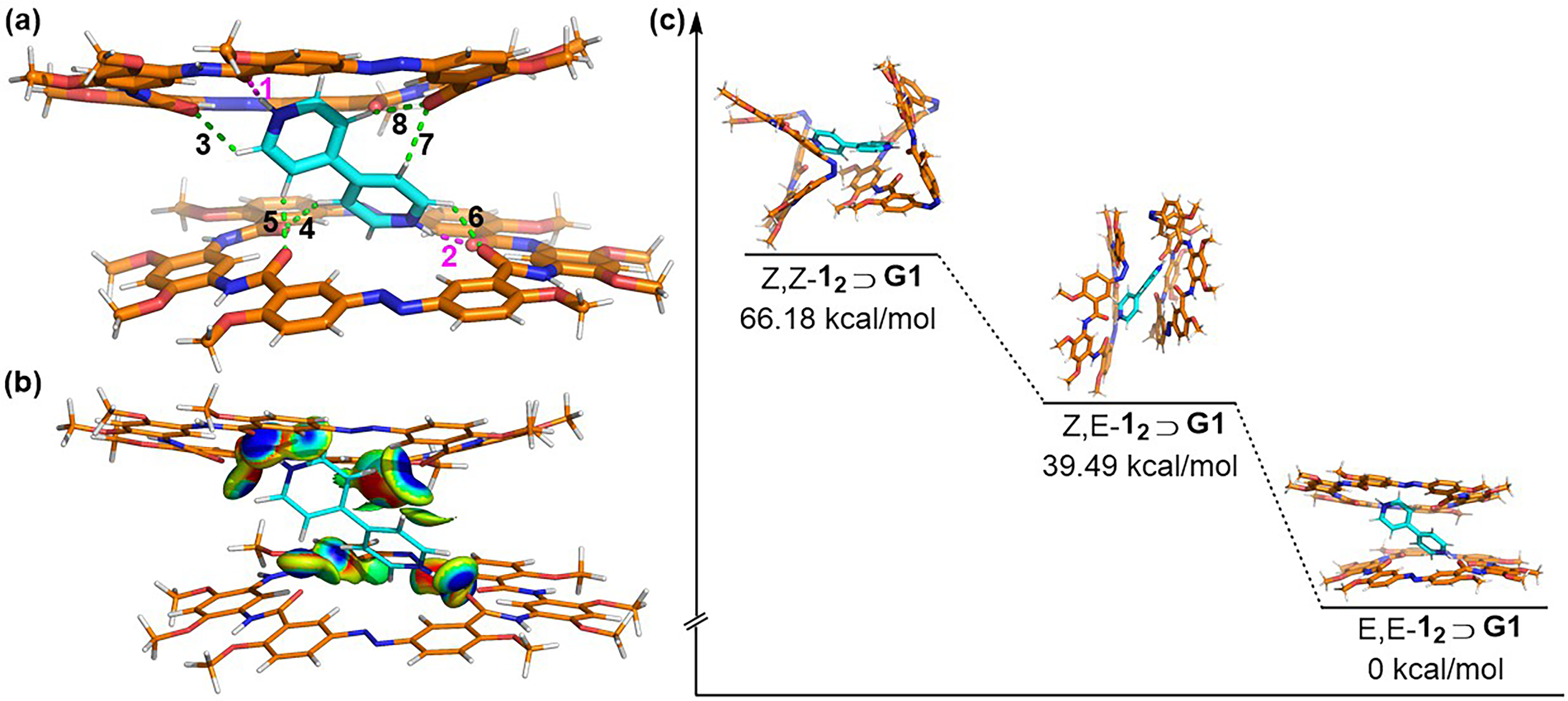 Molecules 28 04437 g003 Molecules 28 04437 g003