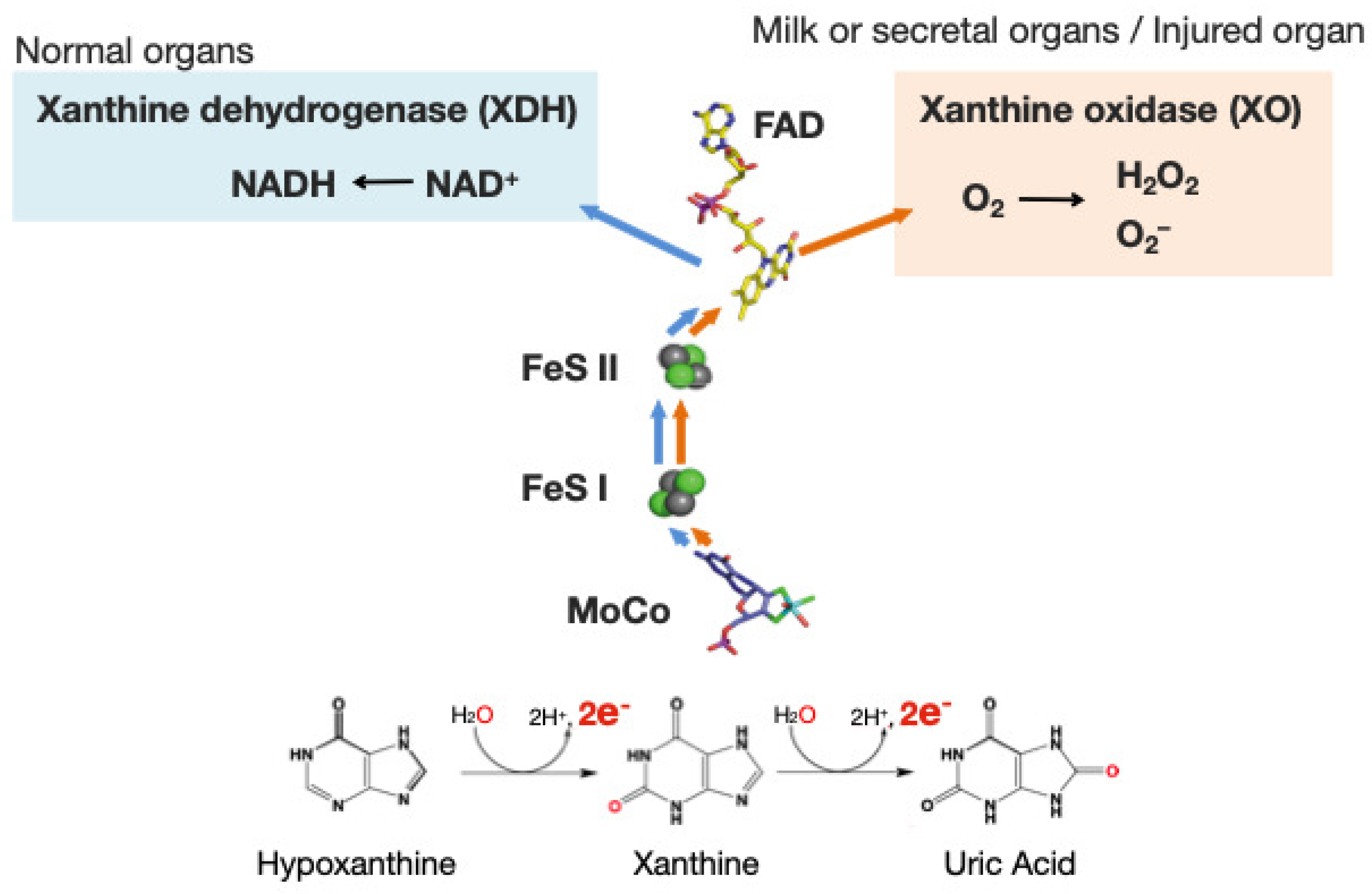 Molecules 28 04440 g001 Molecules 28 04440 g001