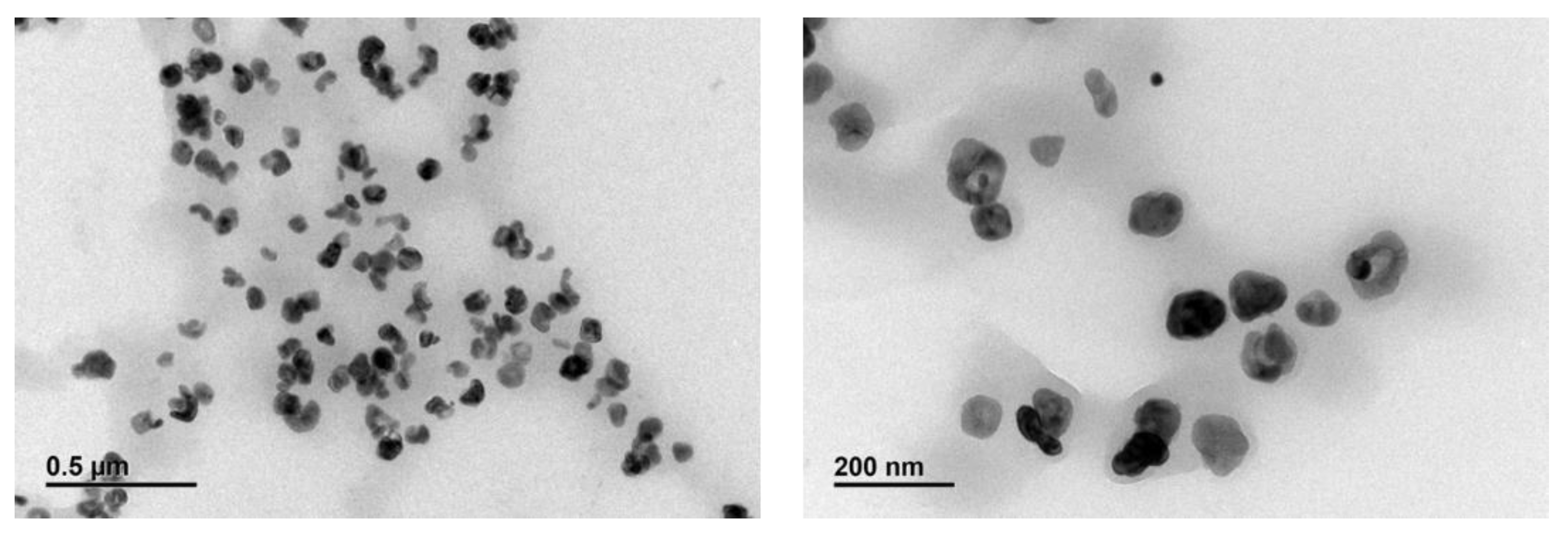 Molecules 28 04444 g004 Molecules 28 04444 g004