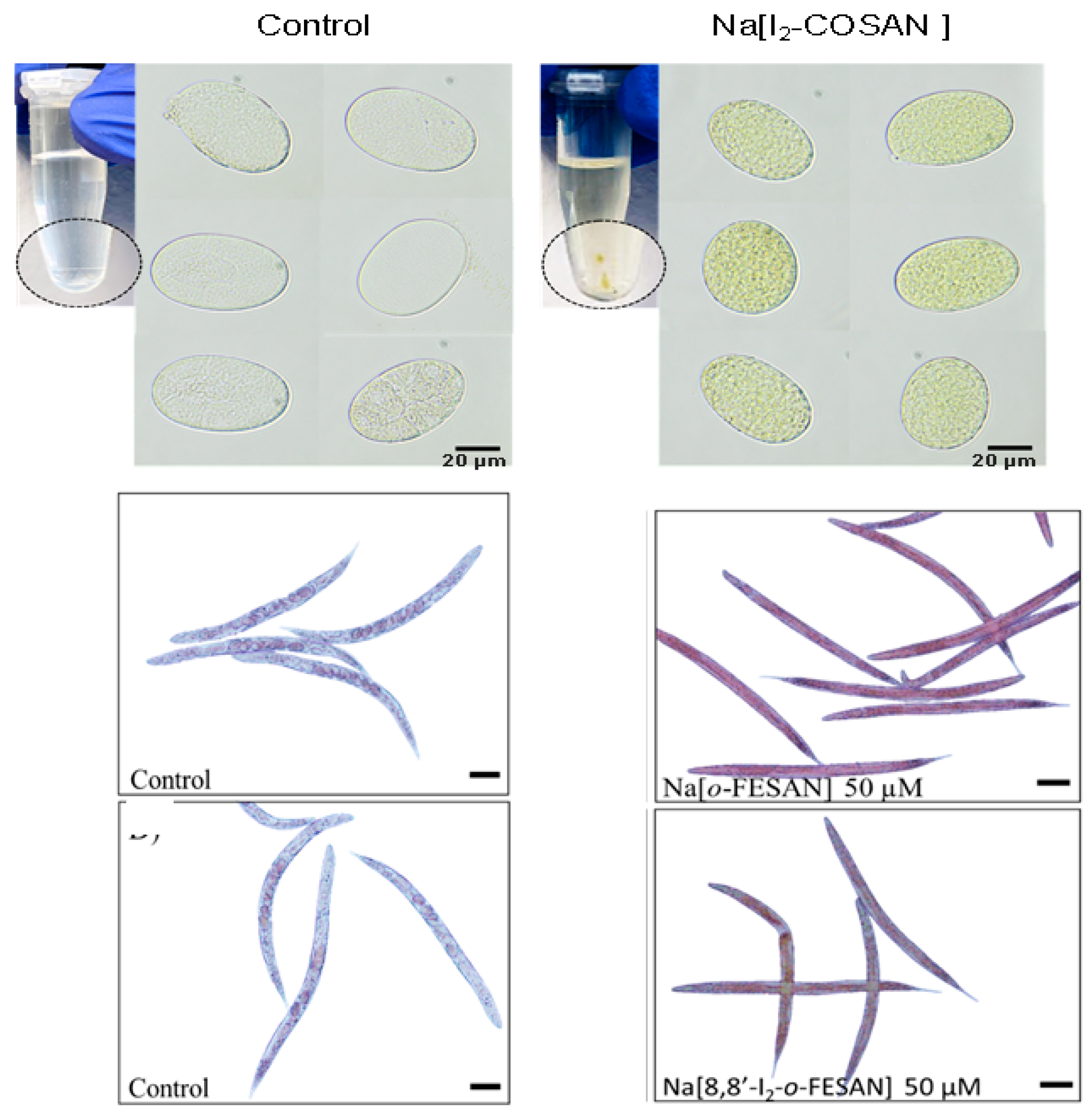 Molecules 28 04449 g008 Molecules 28 04449 g008