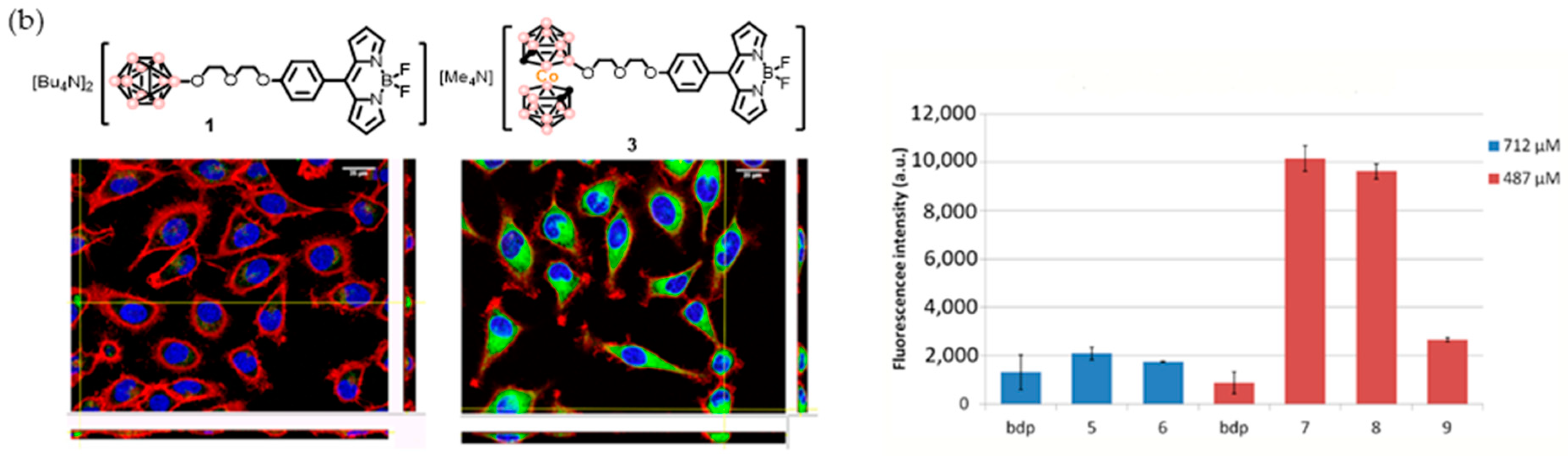 Molecules 28 04449 g012b Molecules 28 04449 g012b