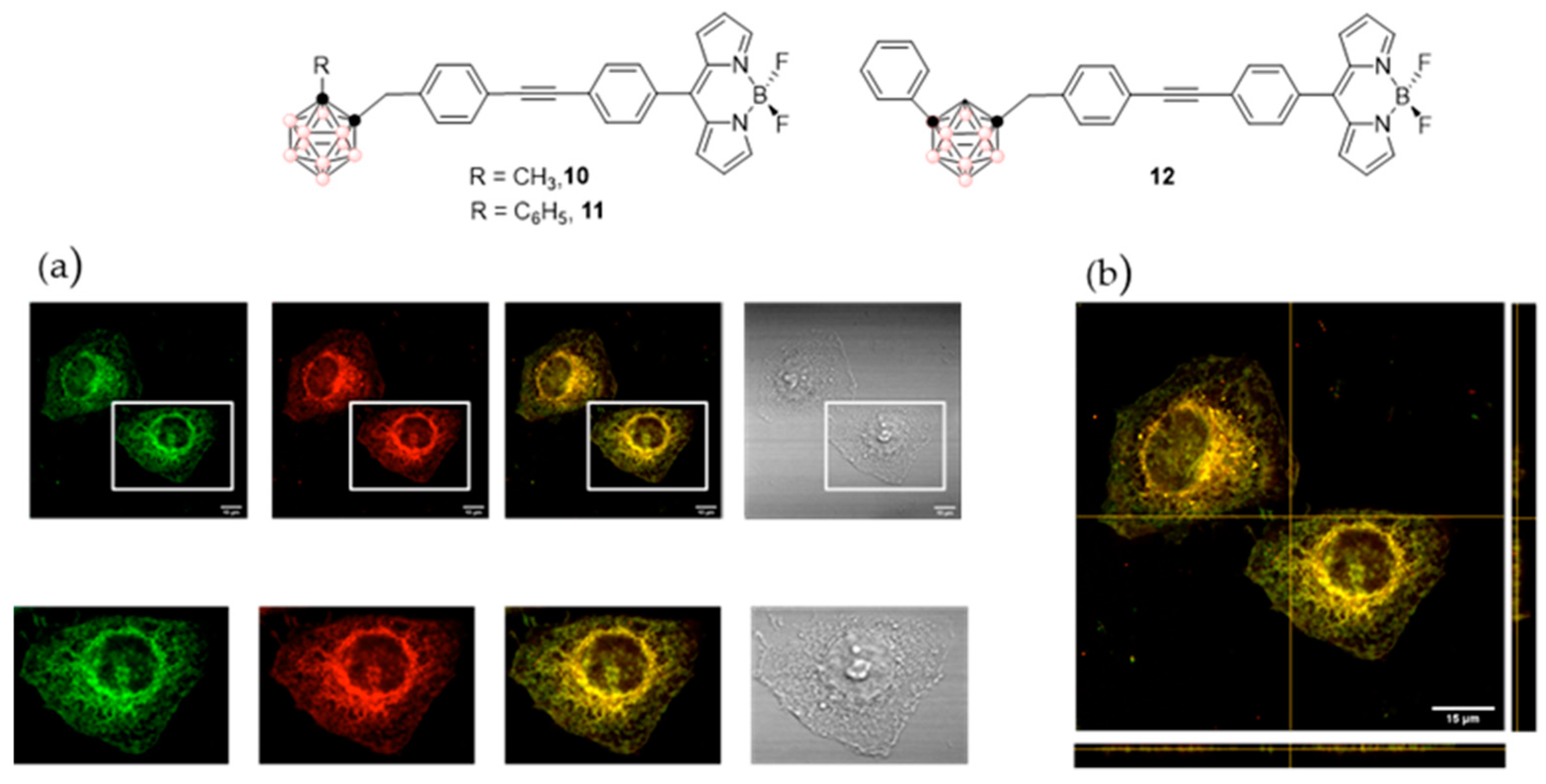 Molecules 28 04449 g014 Molecules 28 04449 g014