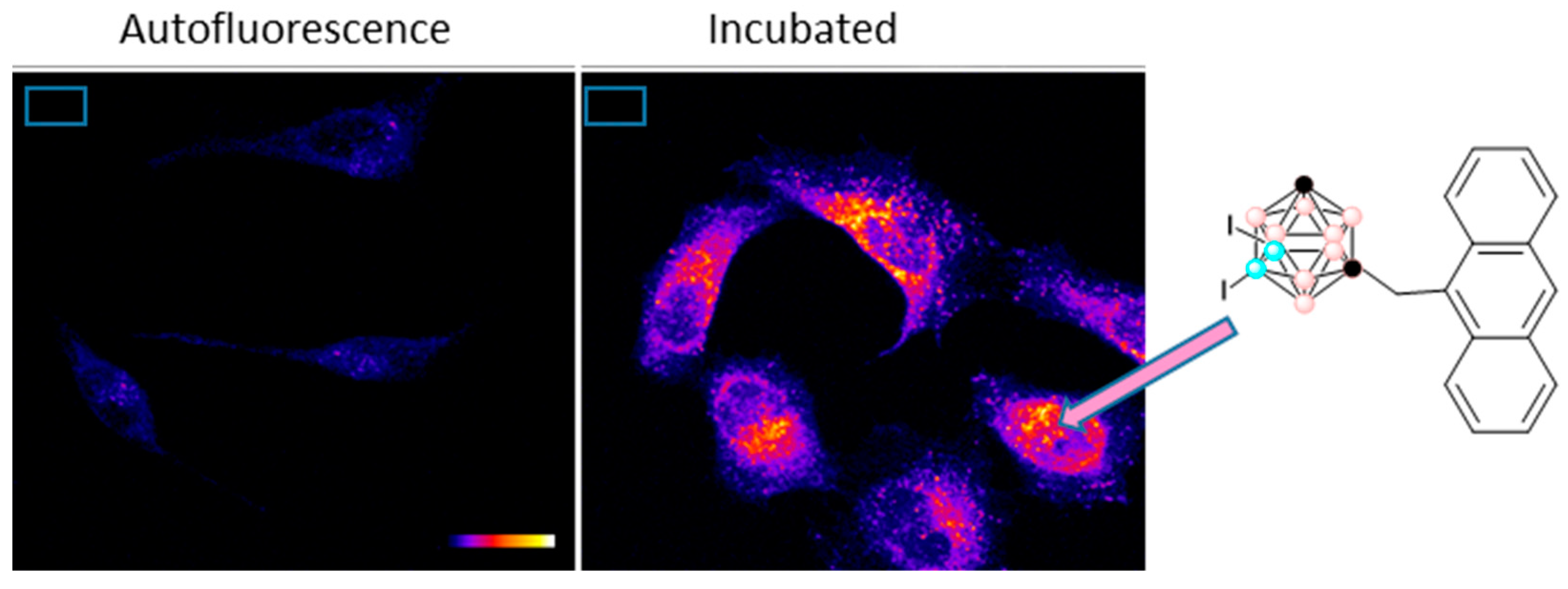 Molecules 28 04449 g015 Molecules 28 04449 g015