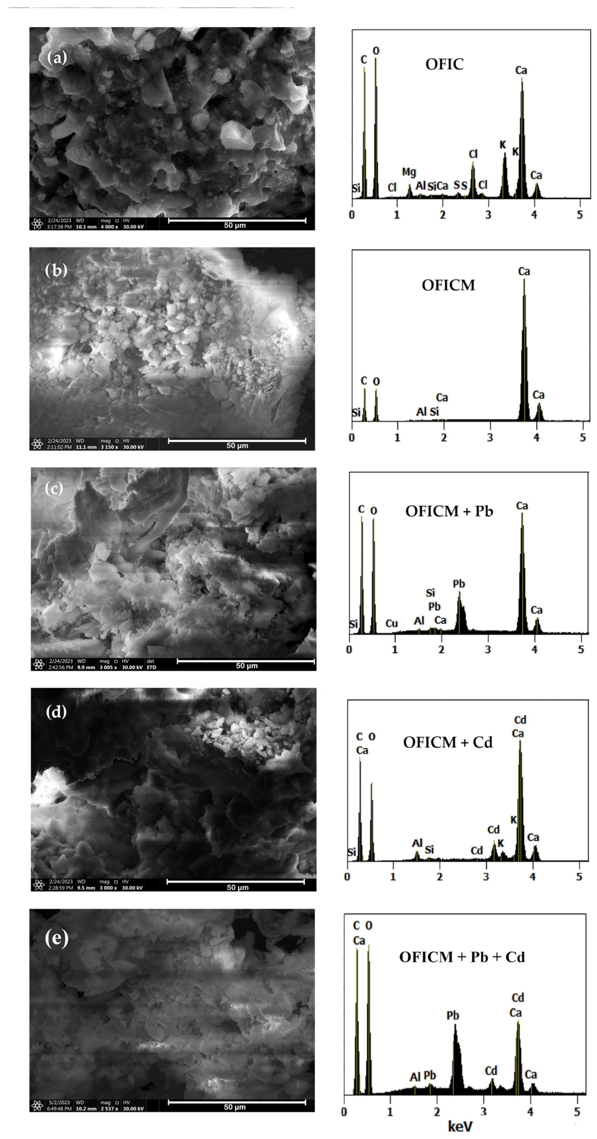 Molecules 28 04451 g004
