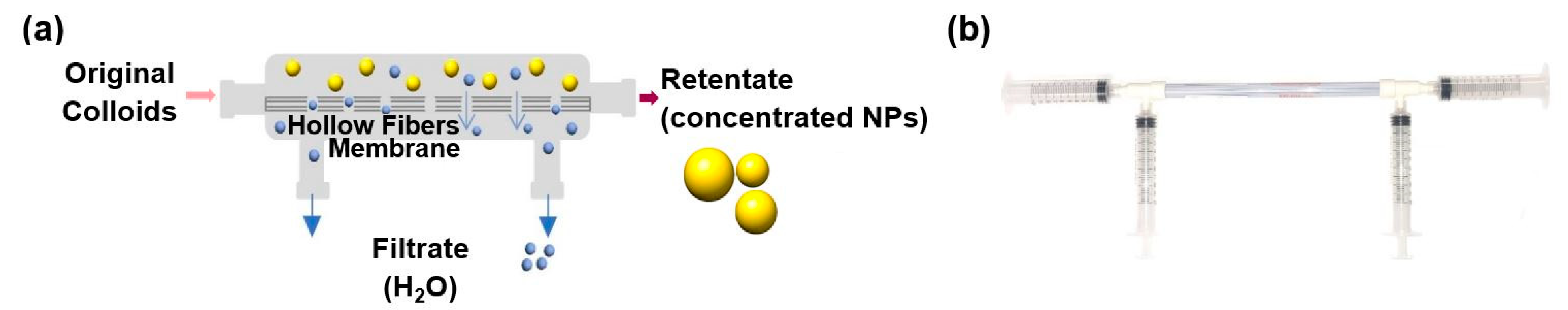 Molecules 28 04453 g008 Molecules 28 04453 g008