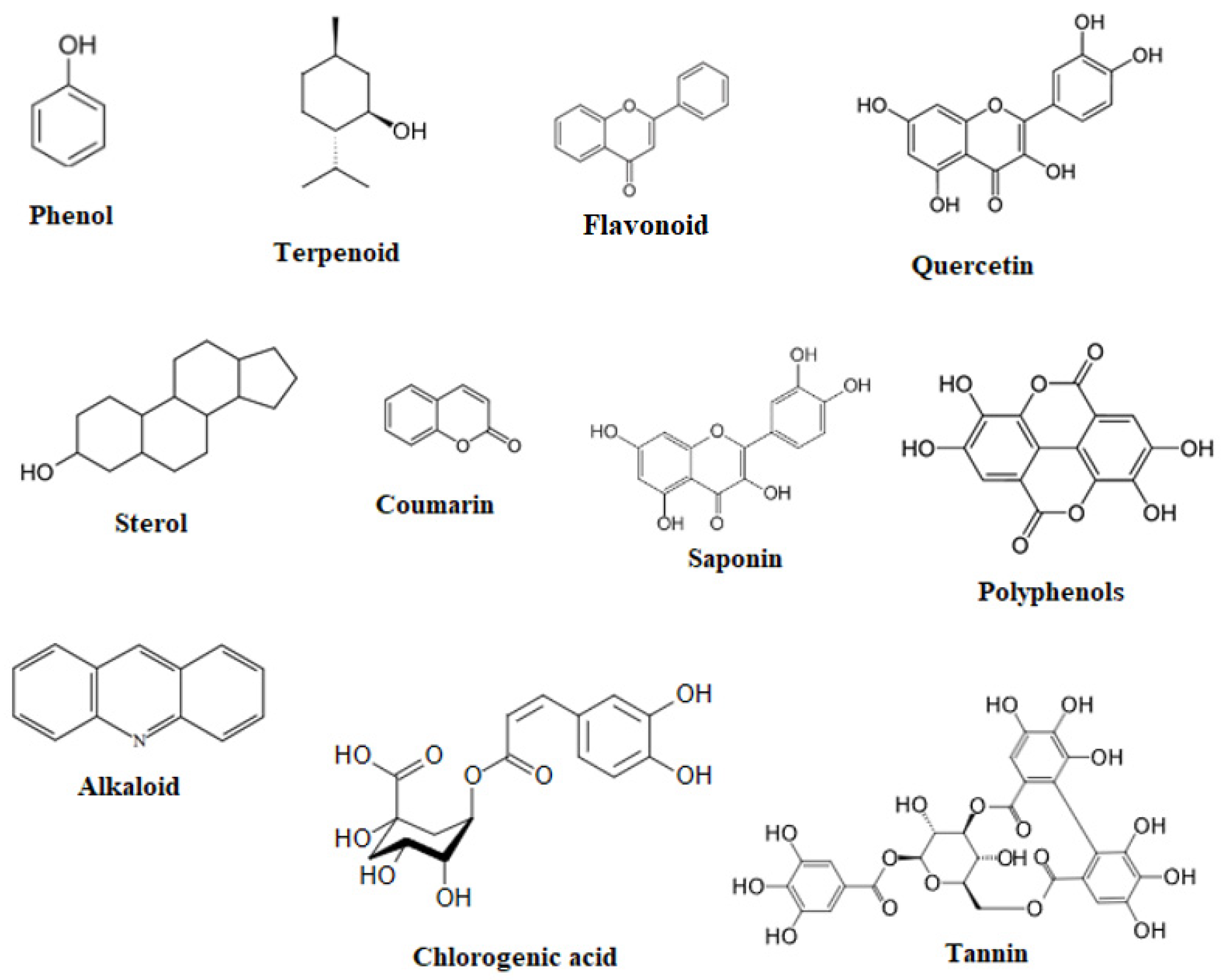 Molecules 28 04454 g001 Molecules 28 04454 g001