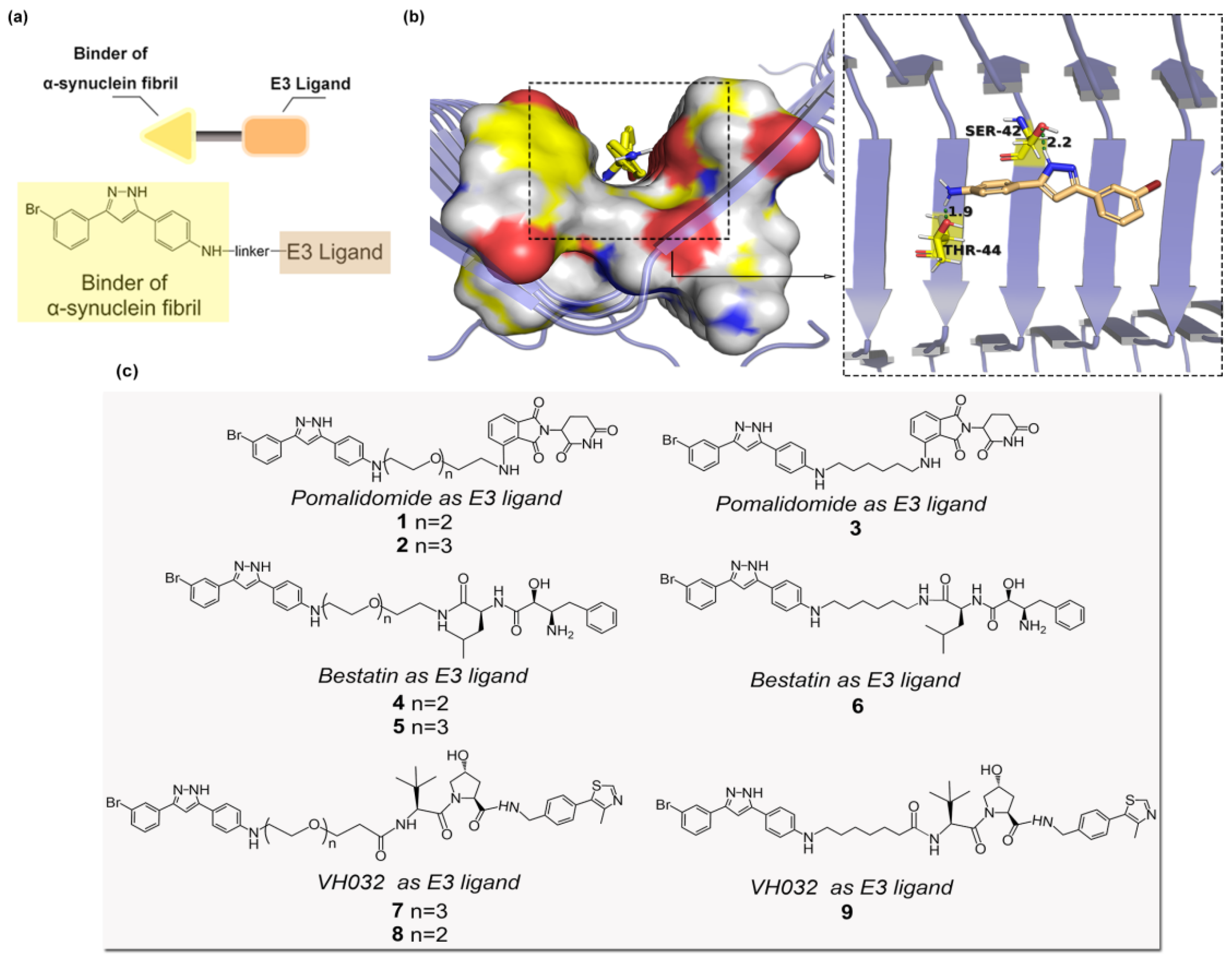 Molecules 28 04458 g001