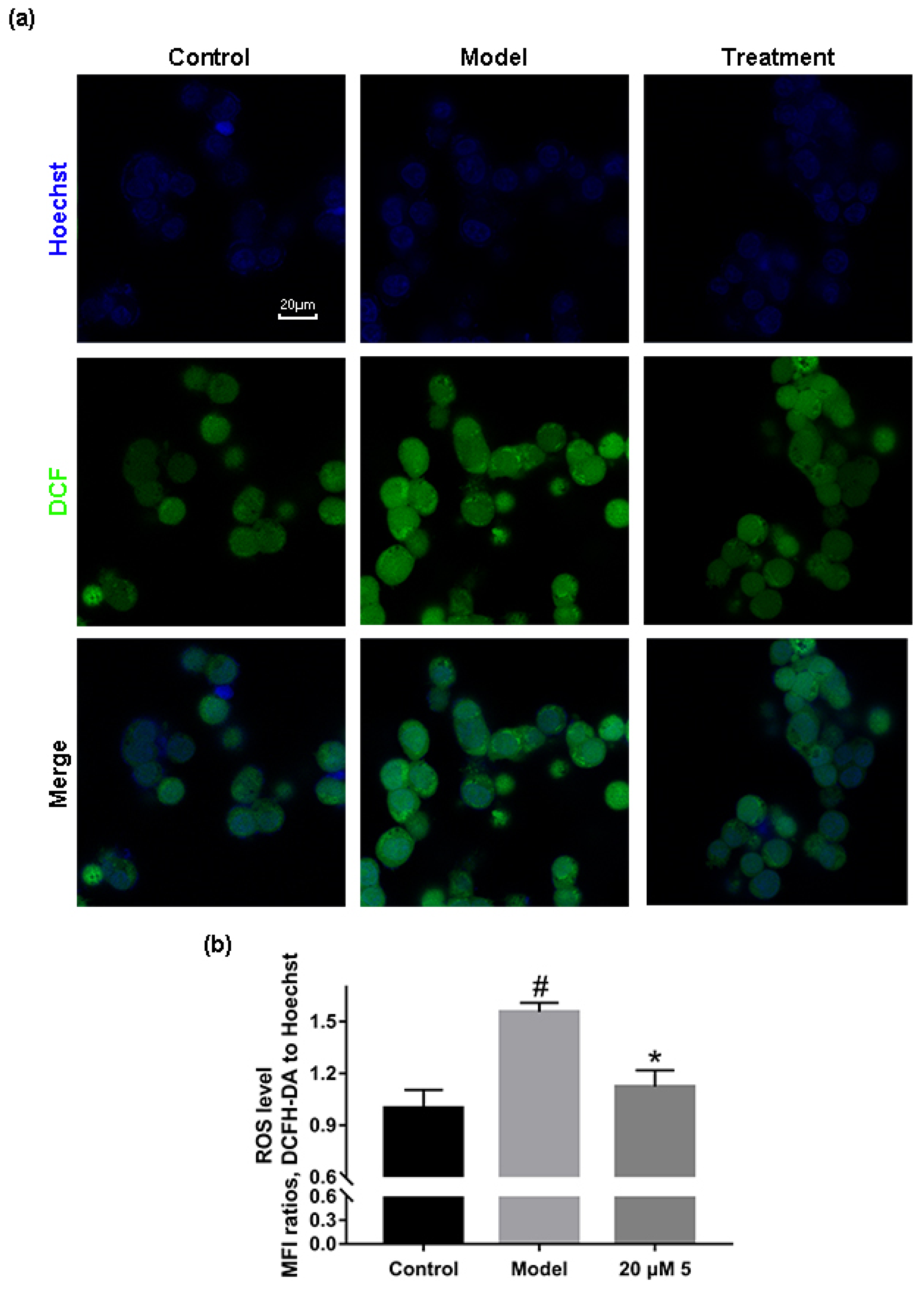 Molecules 28 04458 g004