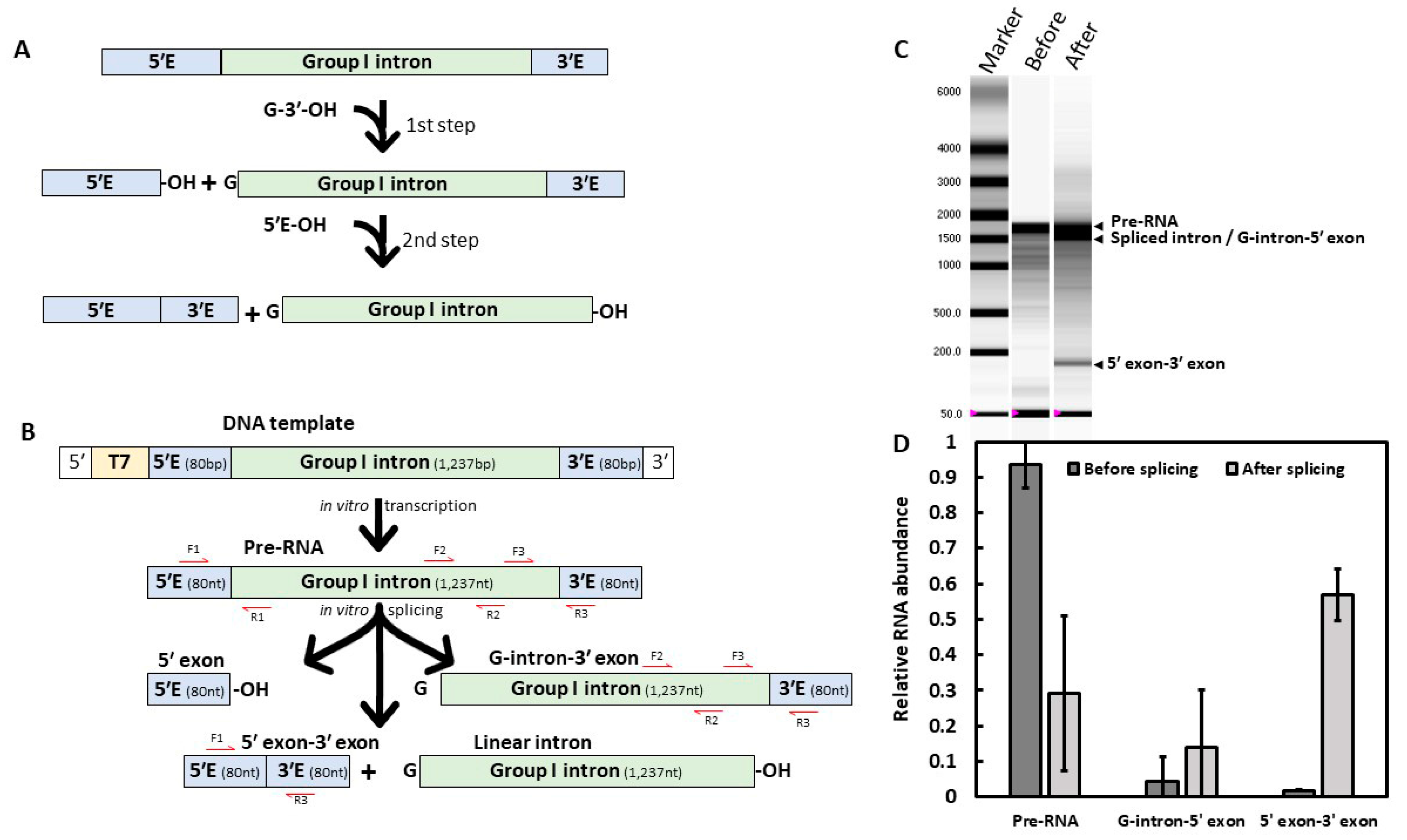 Molecules 28 04460 g001