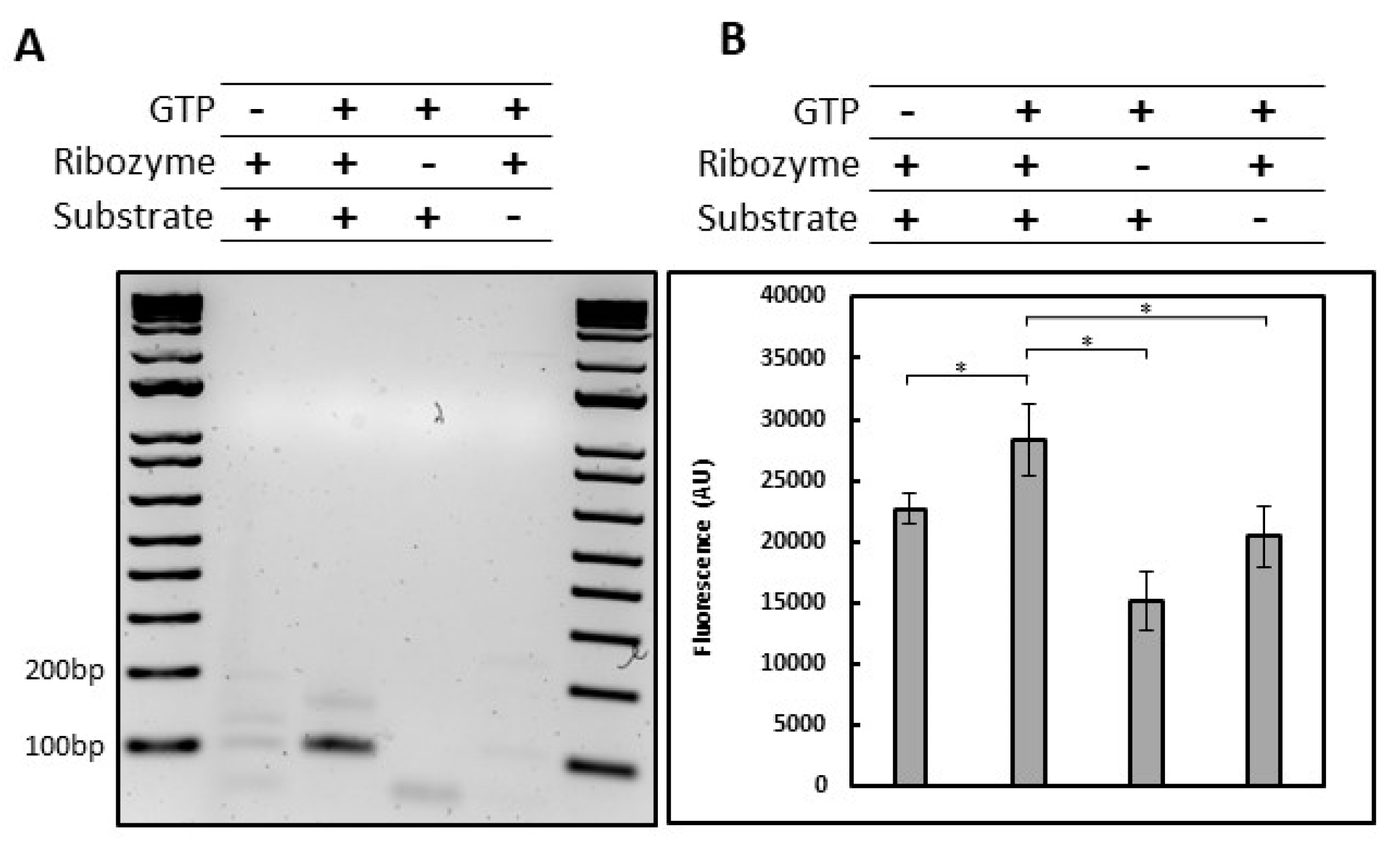 Molecules 28 04460 g003